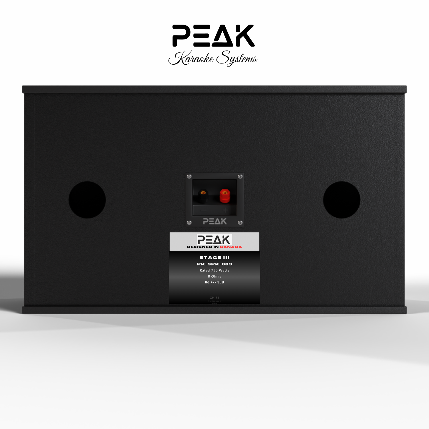 Système de karaoké haut de gamme STAGE III ONYX DE PEAK Karaoke – 4000&nbsp;W