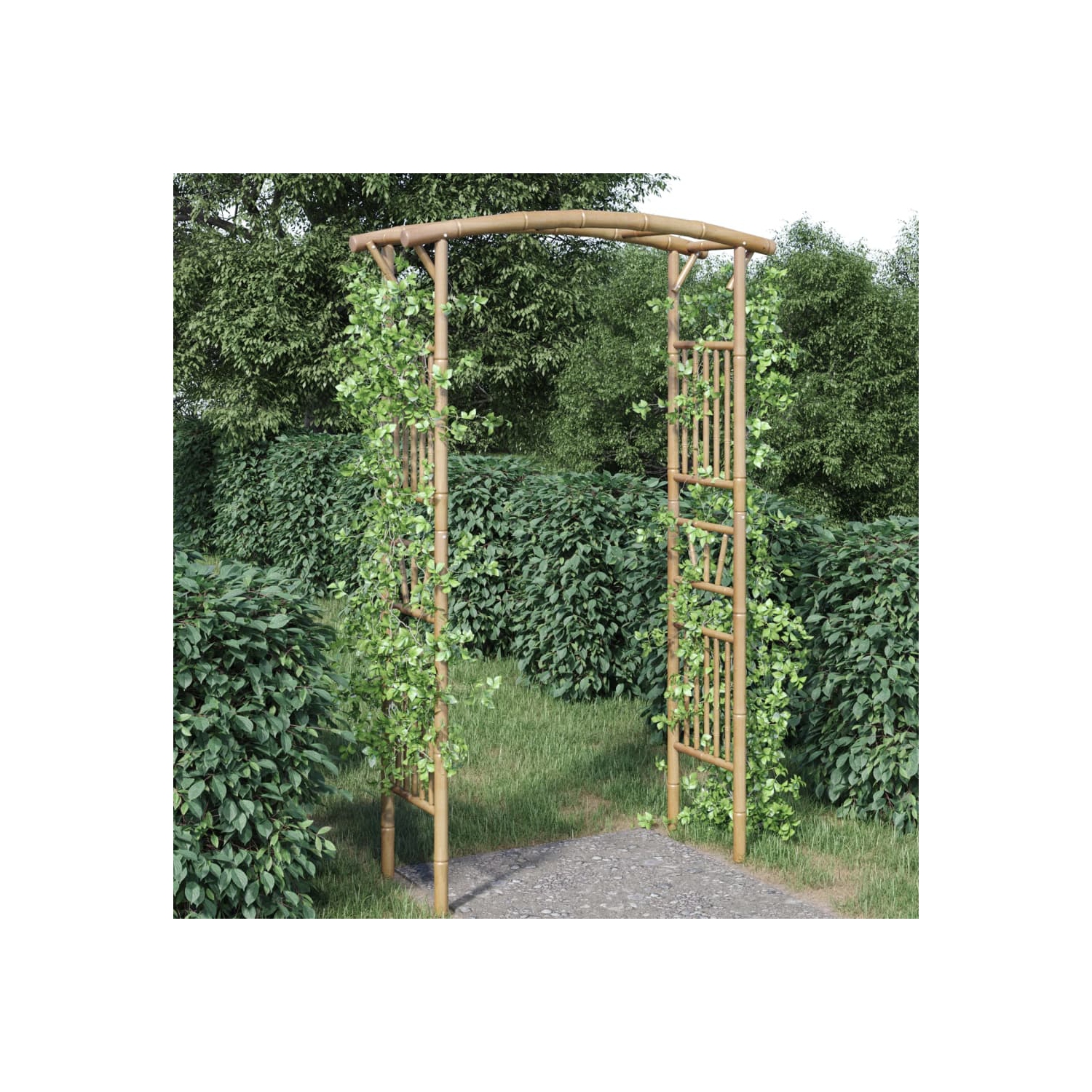 118 x 40 x 187&nbsp;cm vidaXL en arche rose et bambou