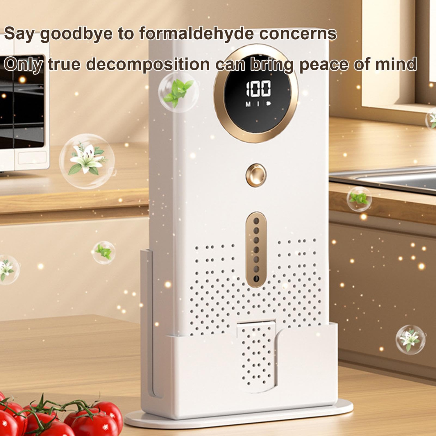 Air Purifier for Home Silent Air Purifiers Dust and Pet Hair Air Purifier
