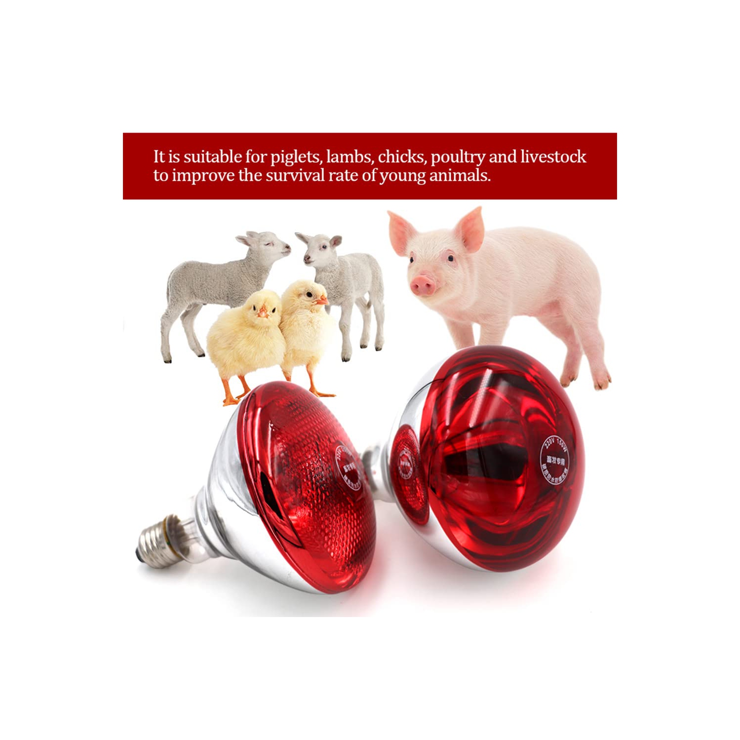 Lampe à infrarouge, lampe chauffante pour animaux de volaille, lampe chauffante pour porcs et poulets, pour la chaleur de la nuit du bétail