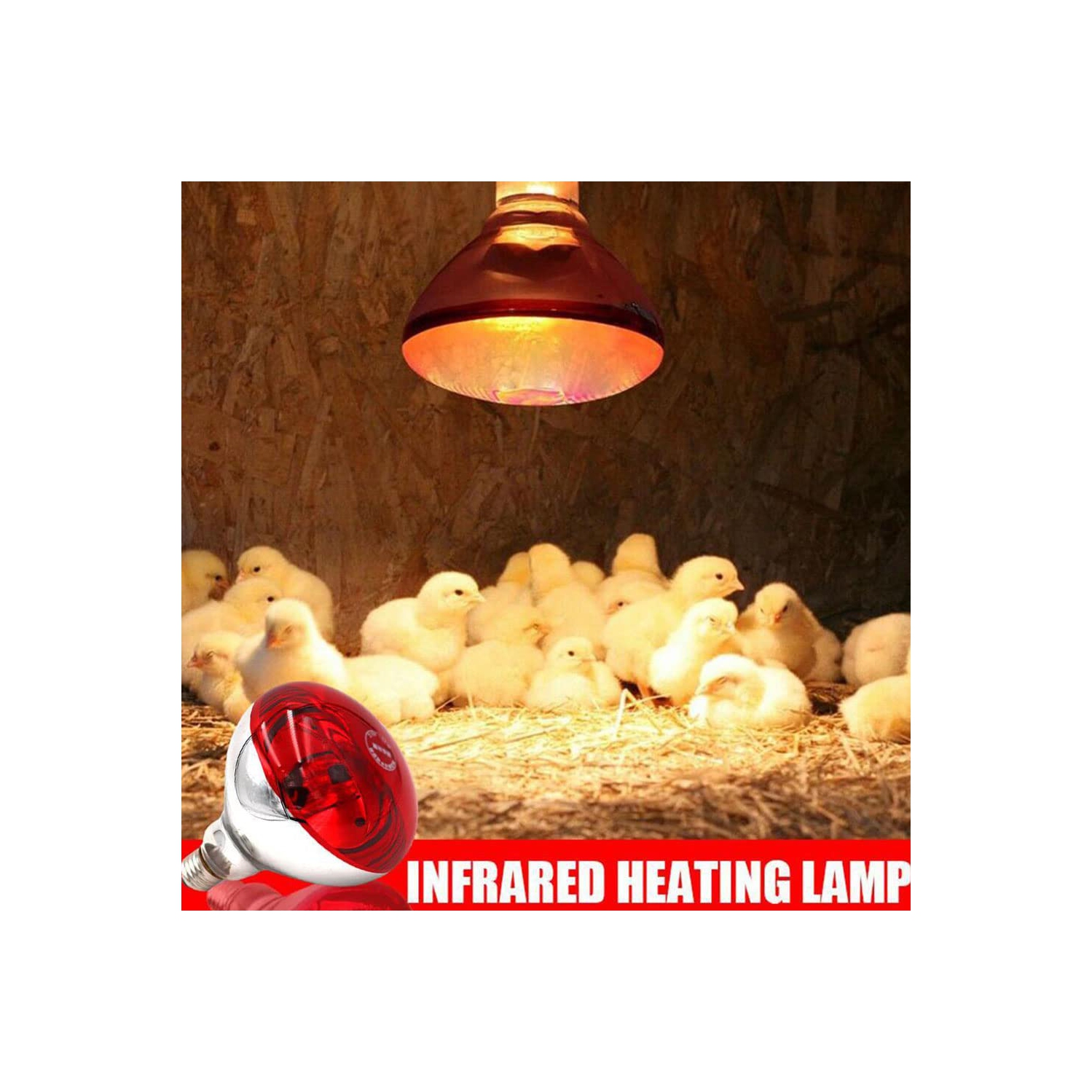 Lampe à infrarouge, lampe chauffante pour animaux de volaille, lampe chauffante pour porcs et poulets, pour la chaleur de la nuit du bétail