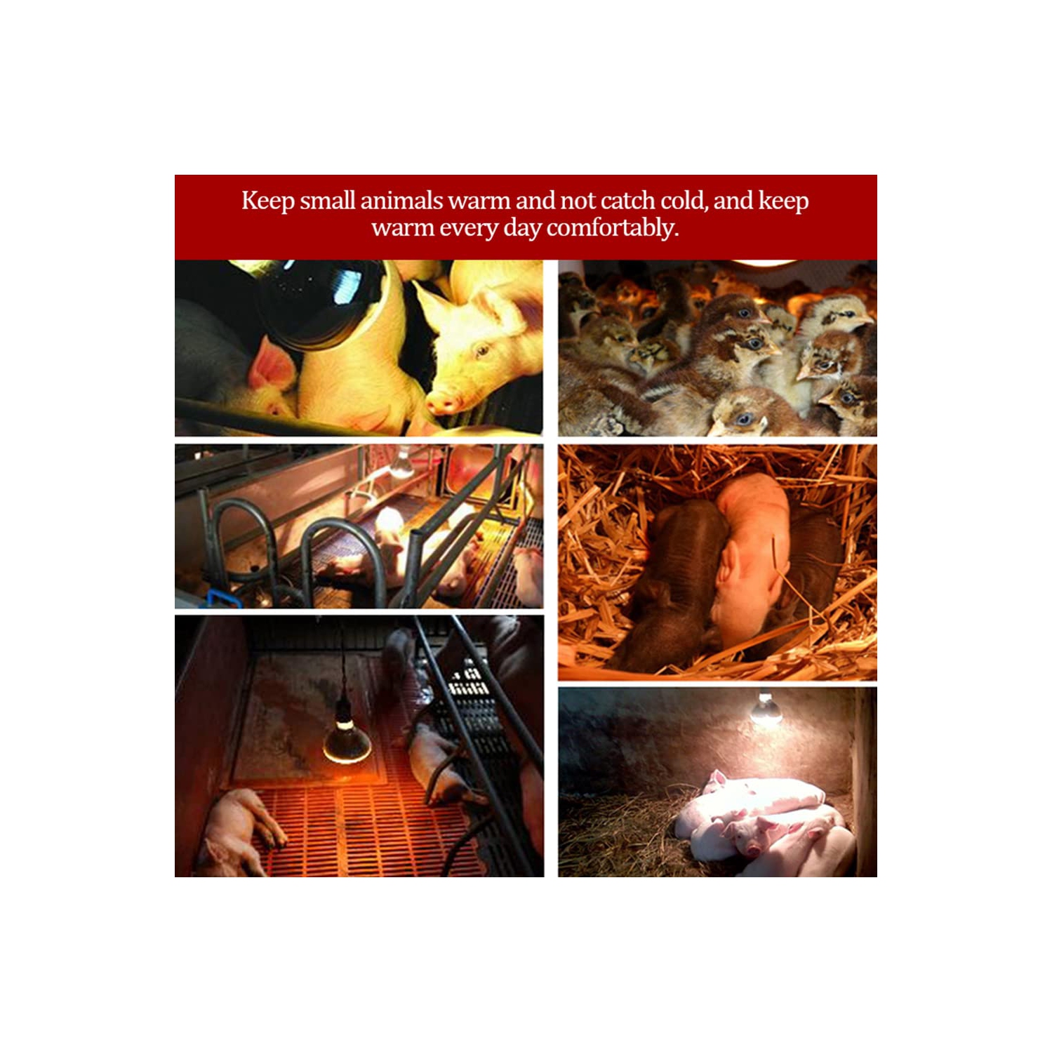 Lampe à infrarouge, lampe chauffante pour animaux de volaille, lampe chauffante pour porcs et poulets, pour la chaleur de la nuit du bétail