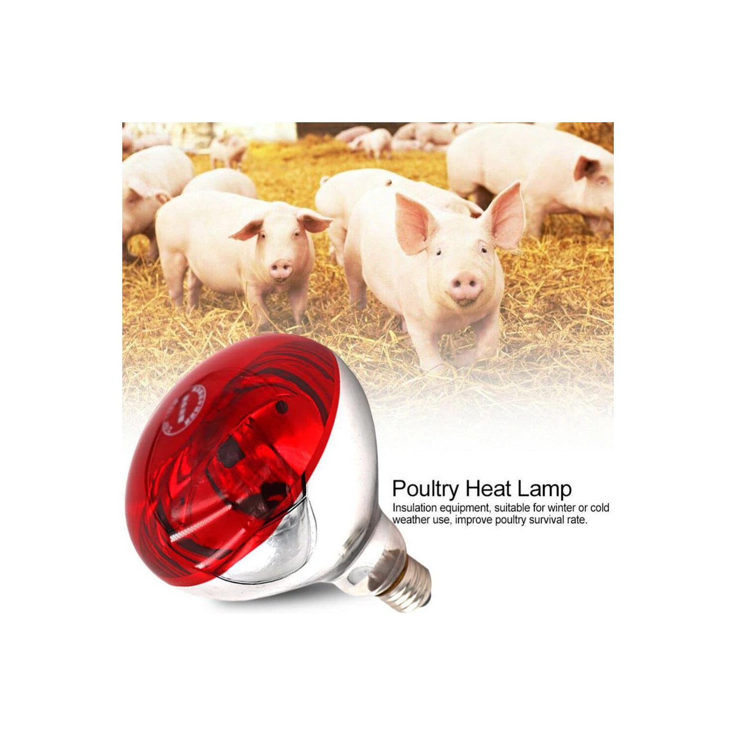 Lampe à infrarouge, lampe chauffante pour animaux de volaille, lampe chauffante pour porcs et poulets, pour la chaleur de la nuit du bétail