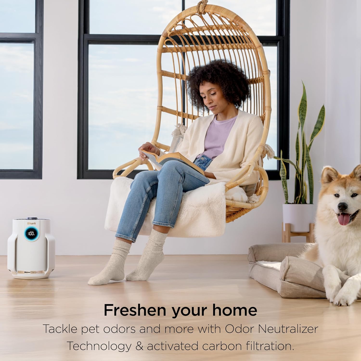 Shark NeverChange Air Purifier Compact Pro, Long-Lasting HEPA Exceeding Filtration, For Pet Dander, Dust, Smoke, Allergens, Up to 250 sq. ft., Odor