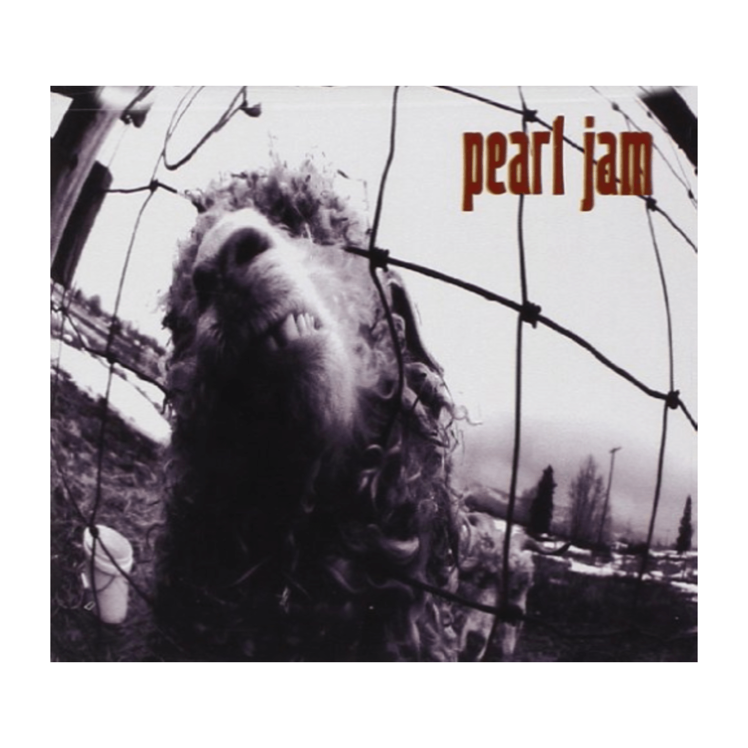 Pearl Jam - VS. - [CD] | Best Buy Canada