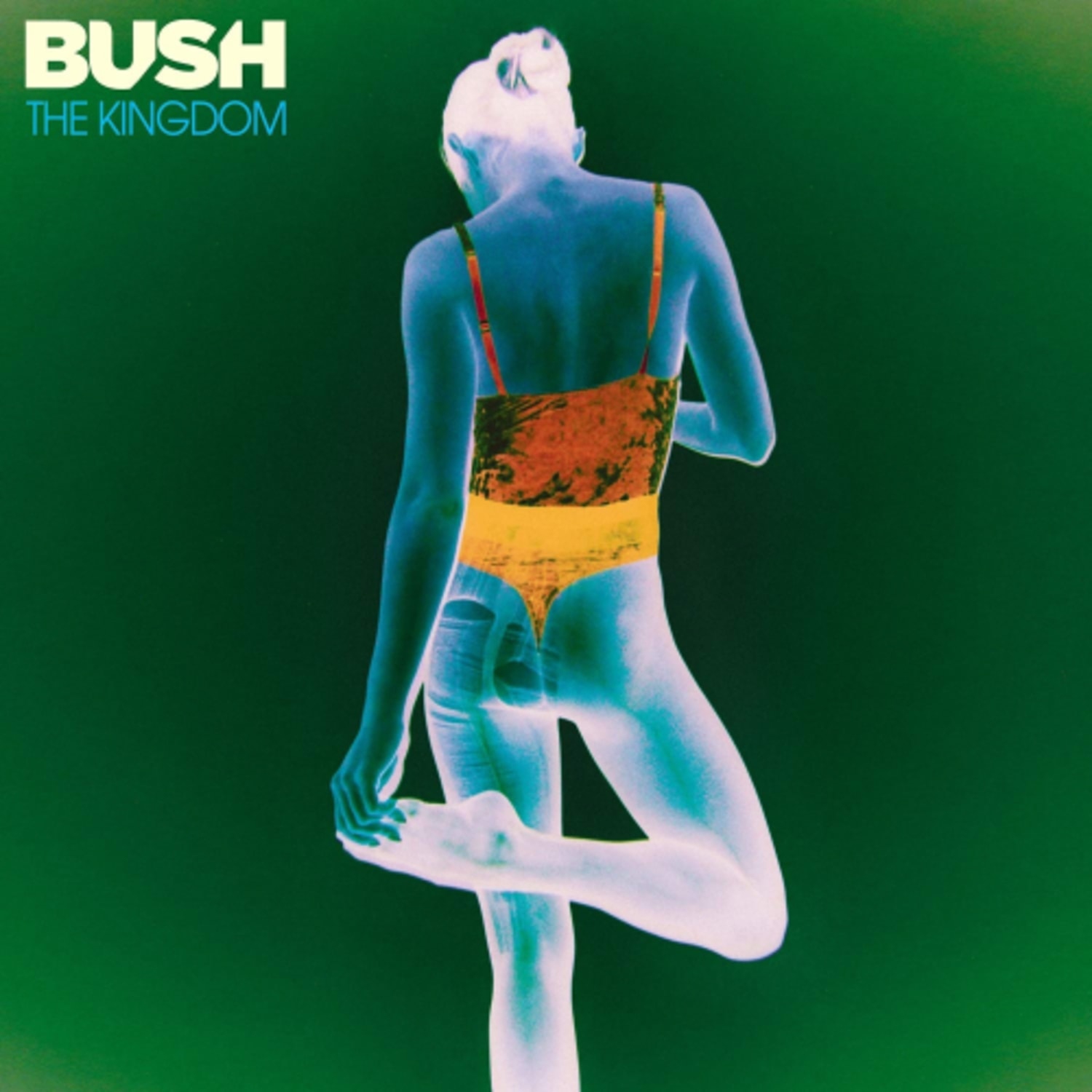 Bush - The Kingdom - [Vinyl]
