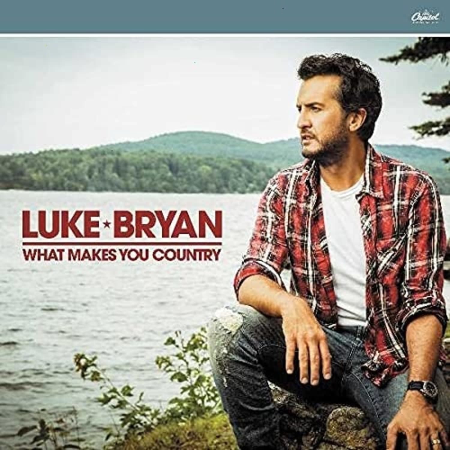 Luke Bryan - What Makes You Country - [Vinyl]