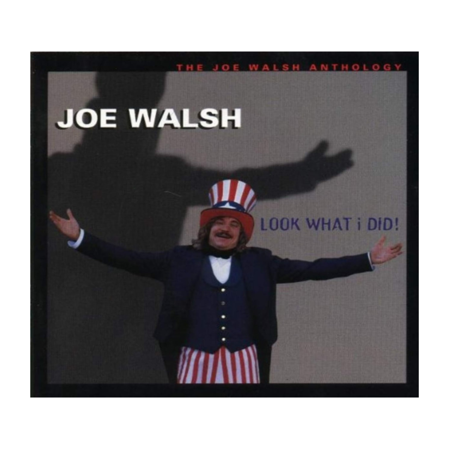 Joe Walsh - Look What I Did - [CD]