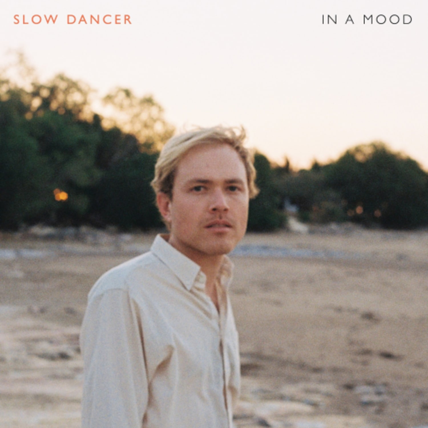 Slow Dancer - In A Mood - [Vinyl]