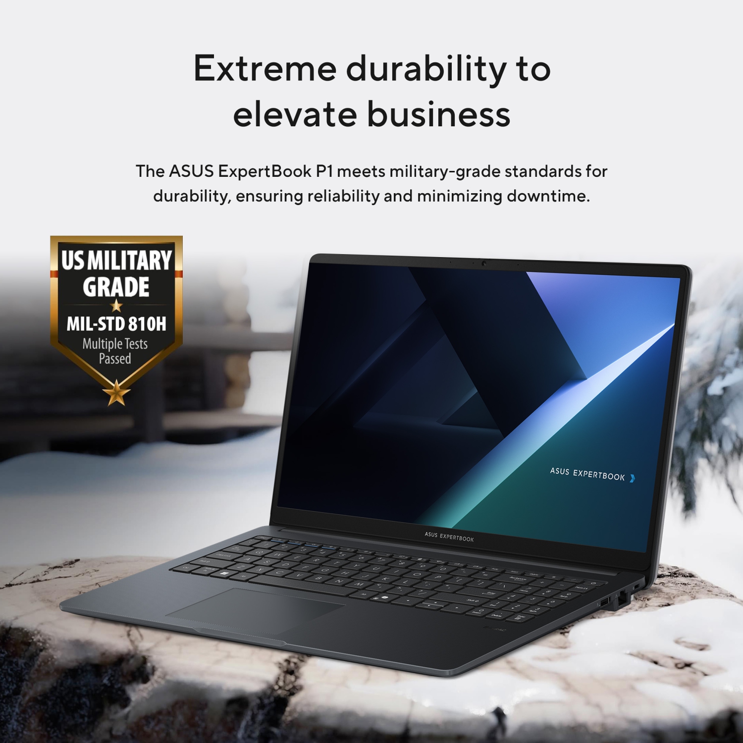 ASUS ExpertBook P1 Laptop