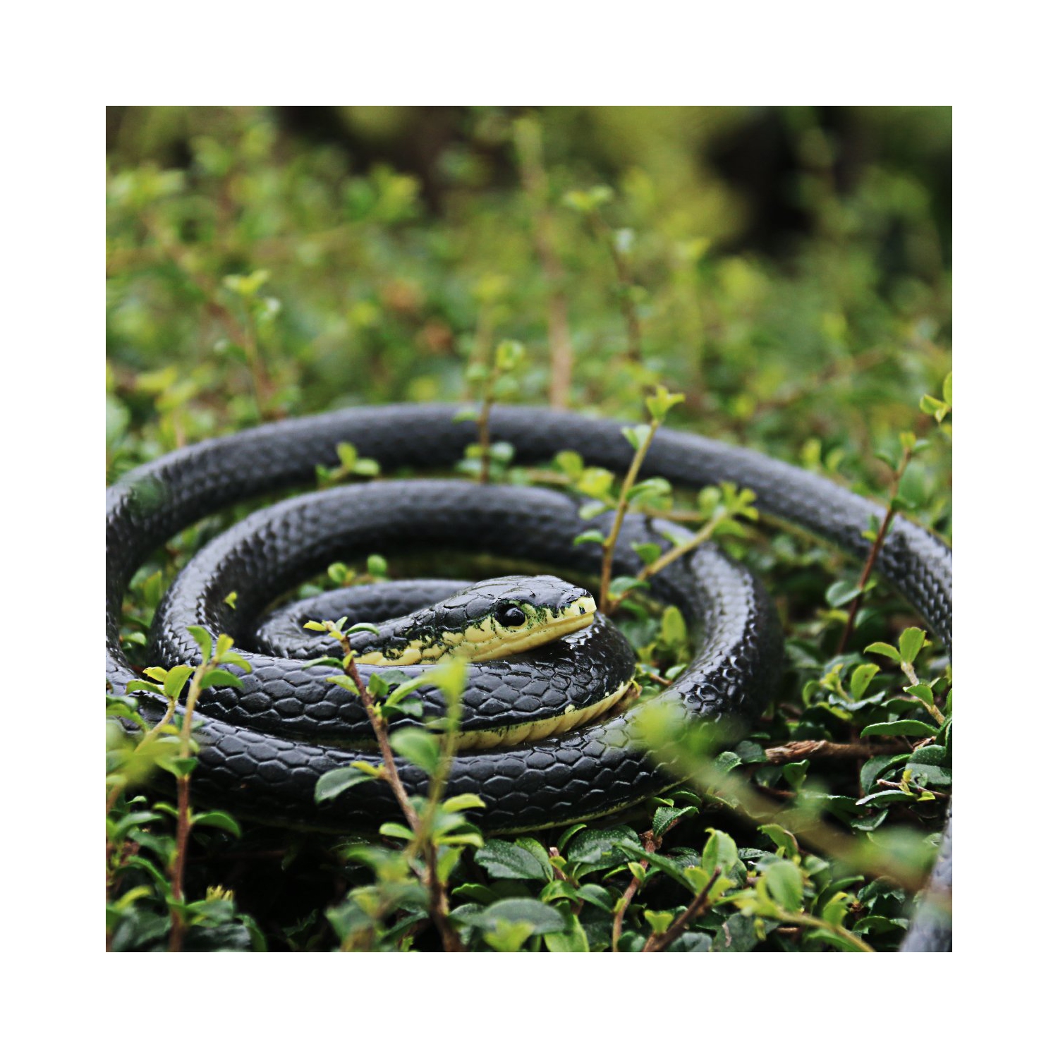 2-Pack Realistic Rubber Snake Toys, Prank Scare Toys, Halloween Gifts