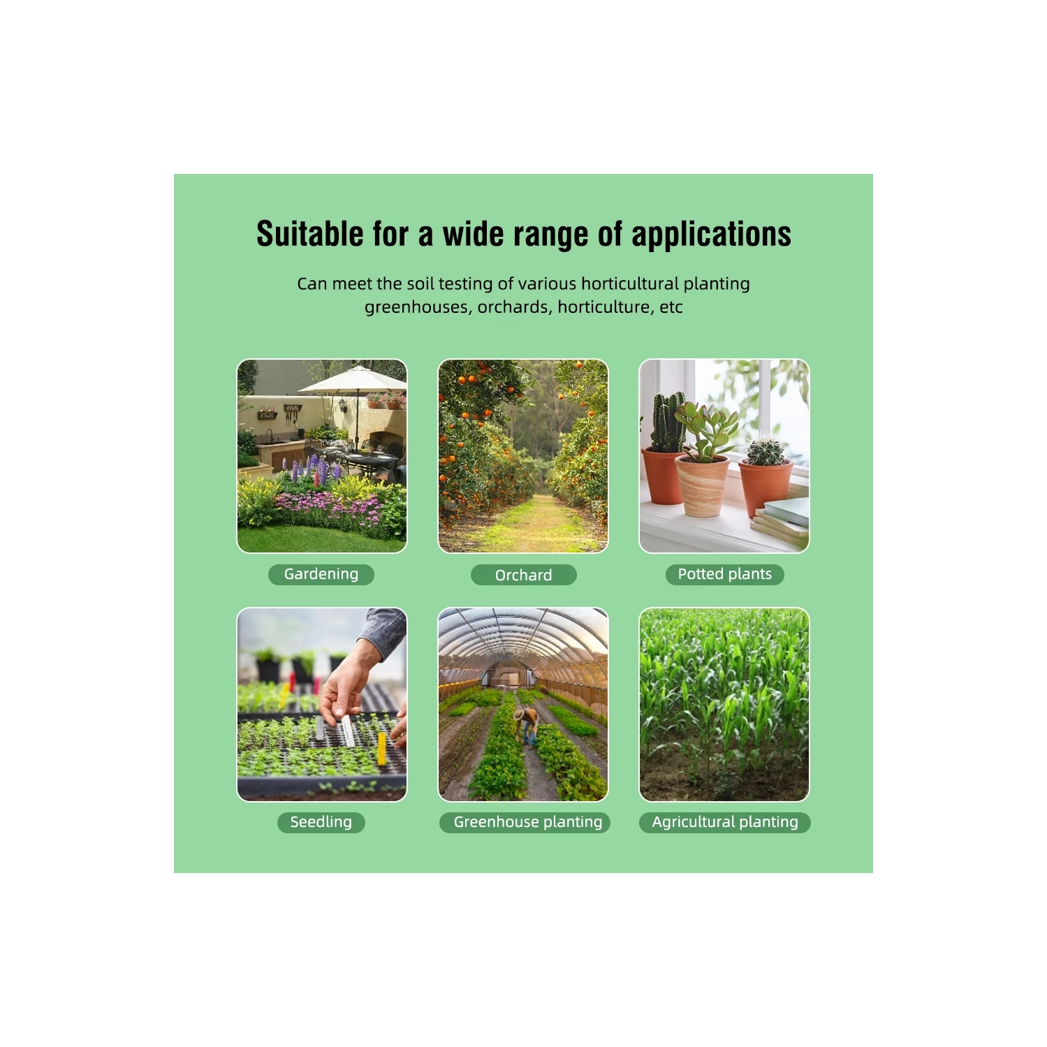 Tester de sol NPK Temp/Nitrogen/Phosphore/Potassium Capteur Nutrient Meter pour jardiner la plantation en pot