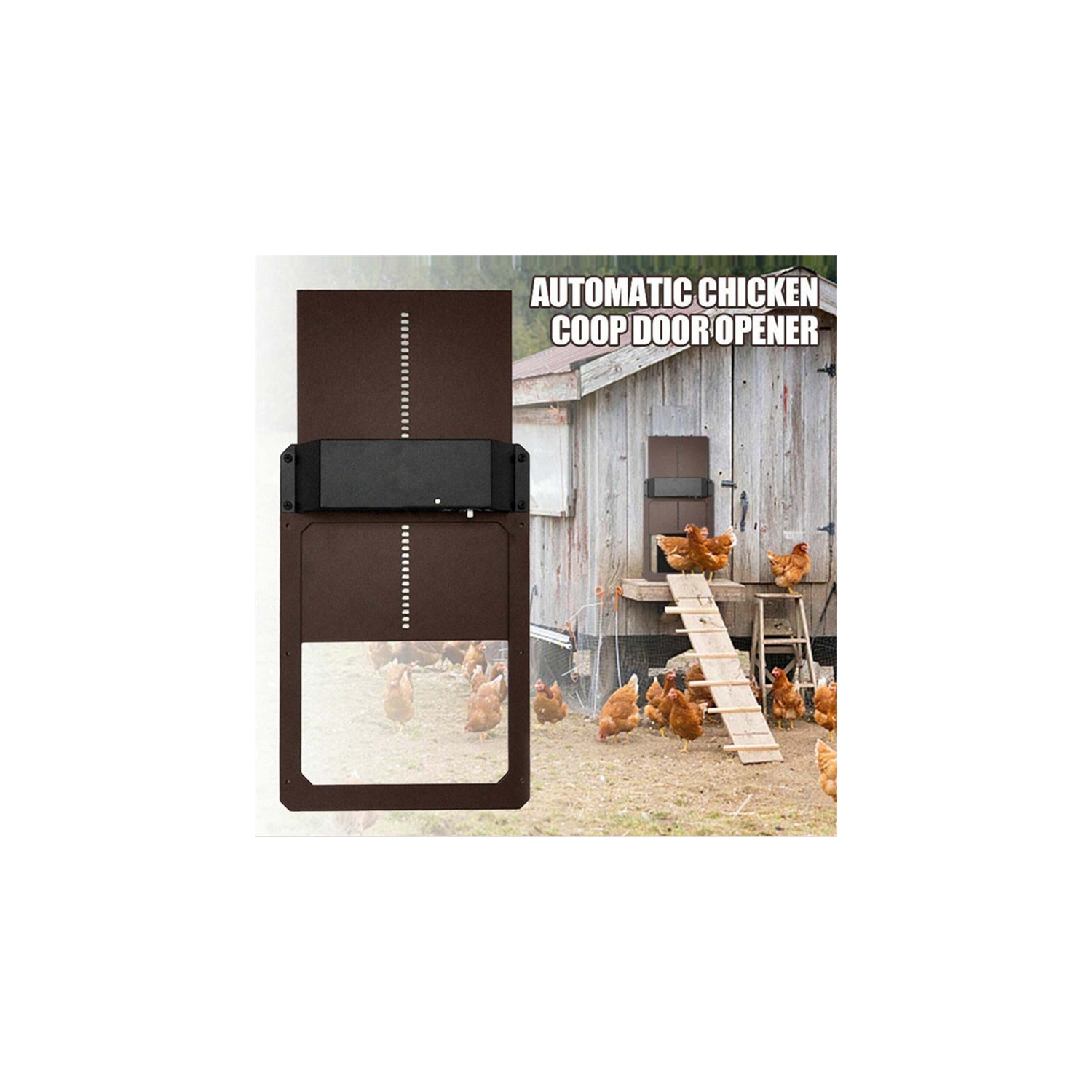 Porte à poule automatique avec détection de la lumière de la pile - Brun