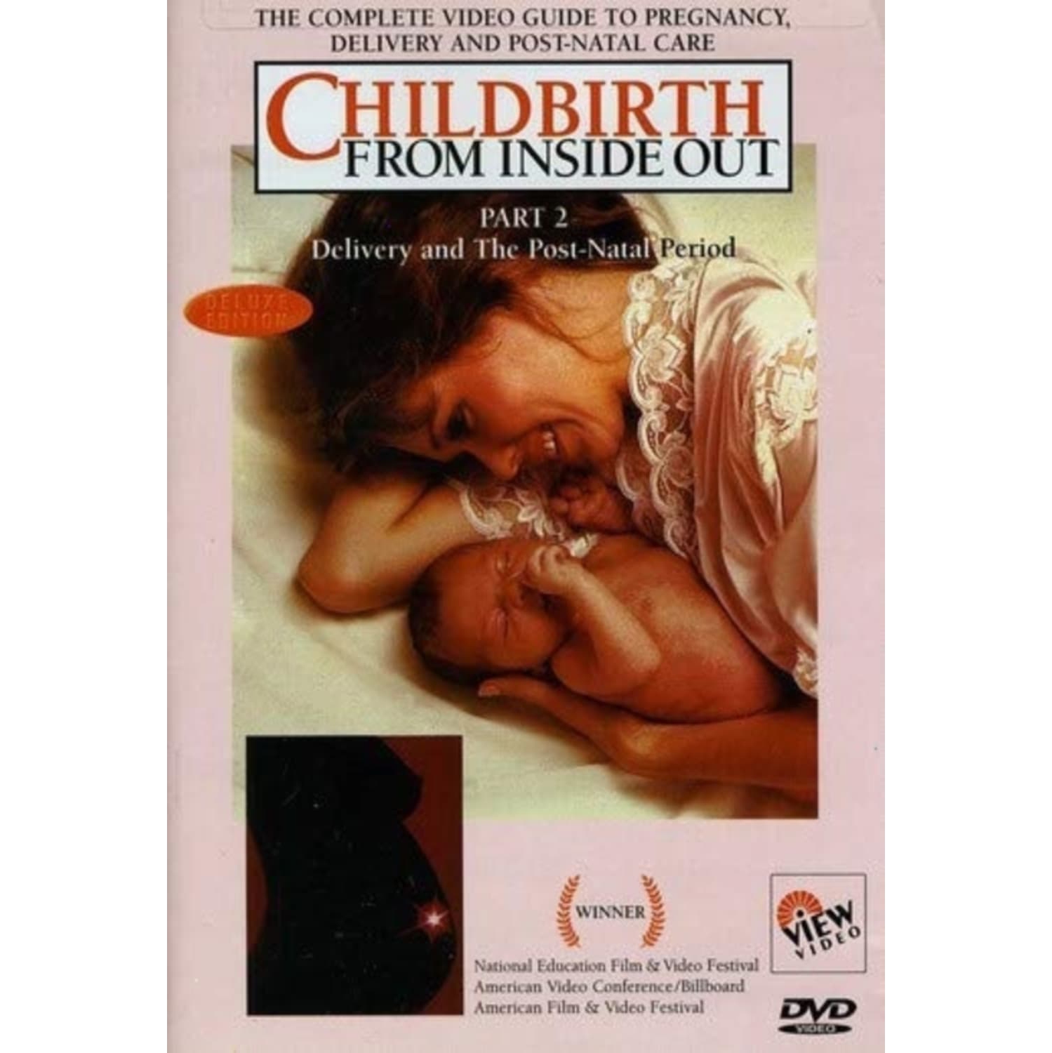 Childbirth from Inside Out: Part 2 - [DVD]