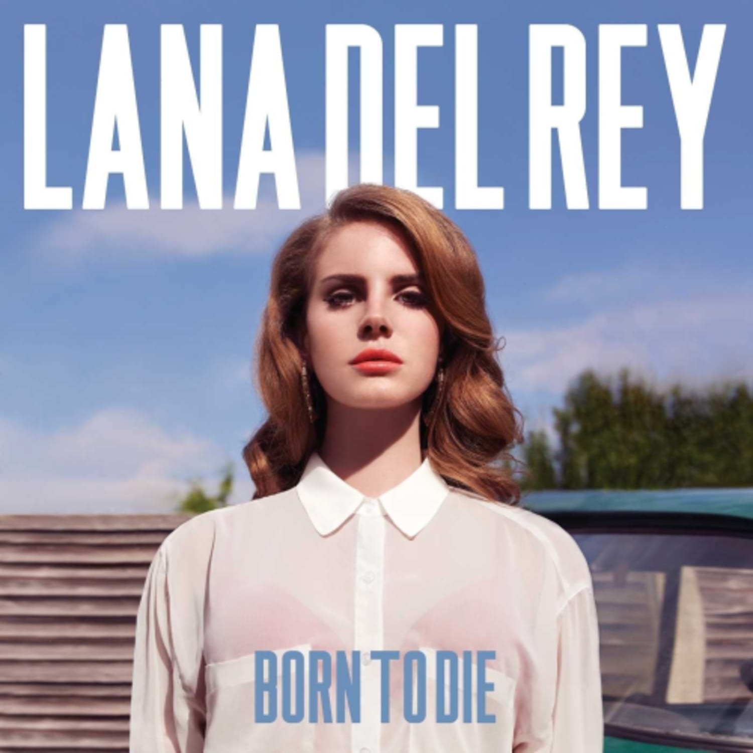 Lana Del Rey - Born to Die [Import] - - [Vinyl]