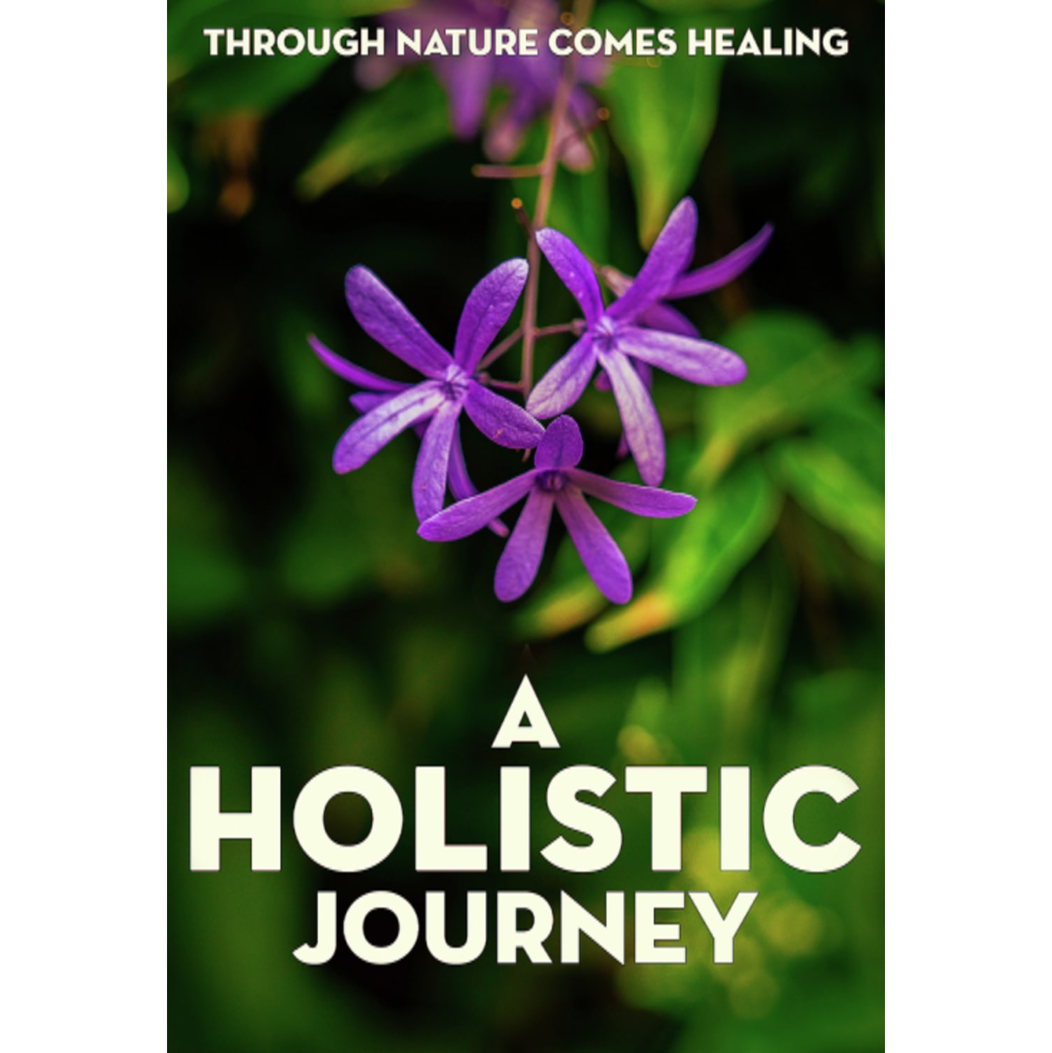 A Holistic Journey - - [DVD]