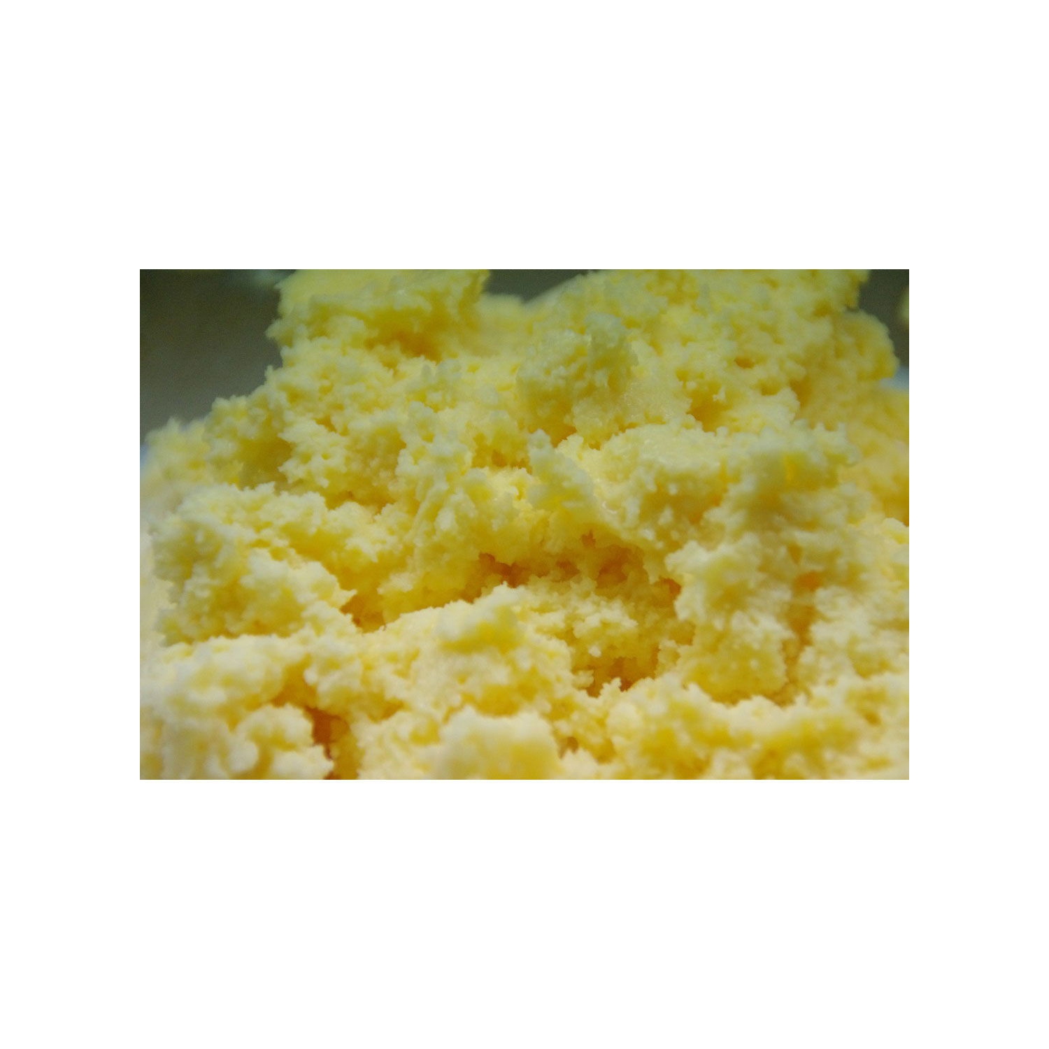 Buttermeister Pro Butter Churn | Stanless Steel Agitator - 1 Gallon