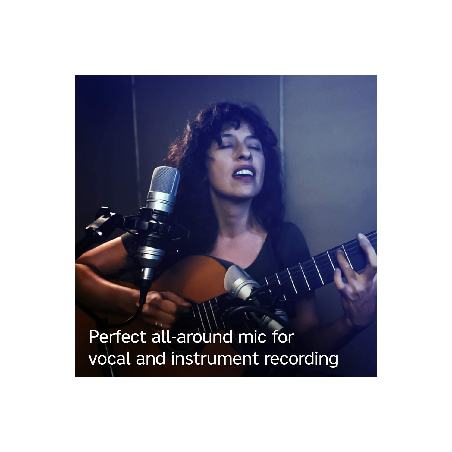 Tascam Tascam TM-80 Studio Condenser Microphone