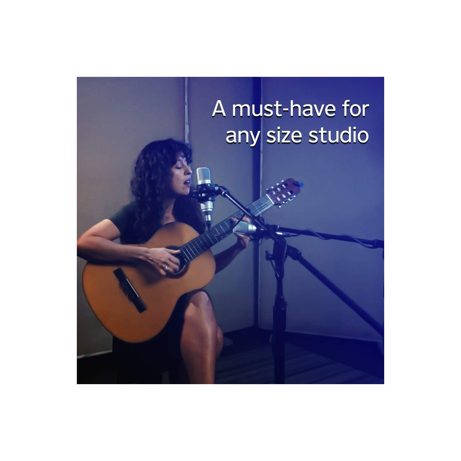 Tascam Tascam TM-80 Studio Condenser Microphone