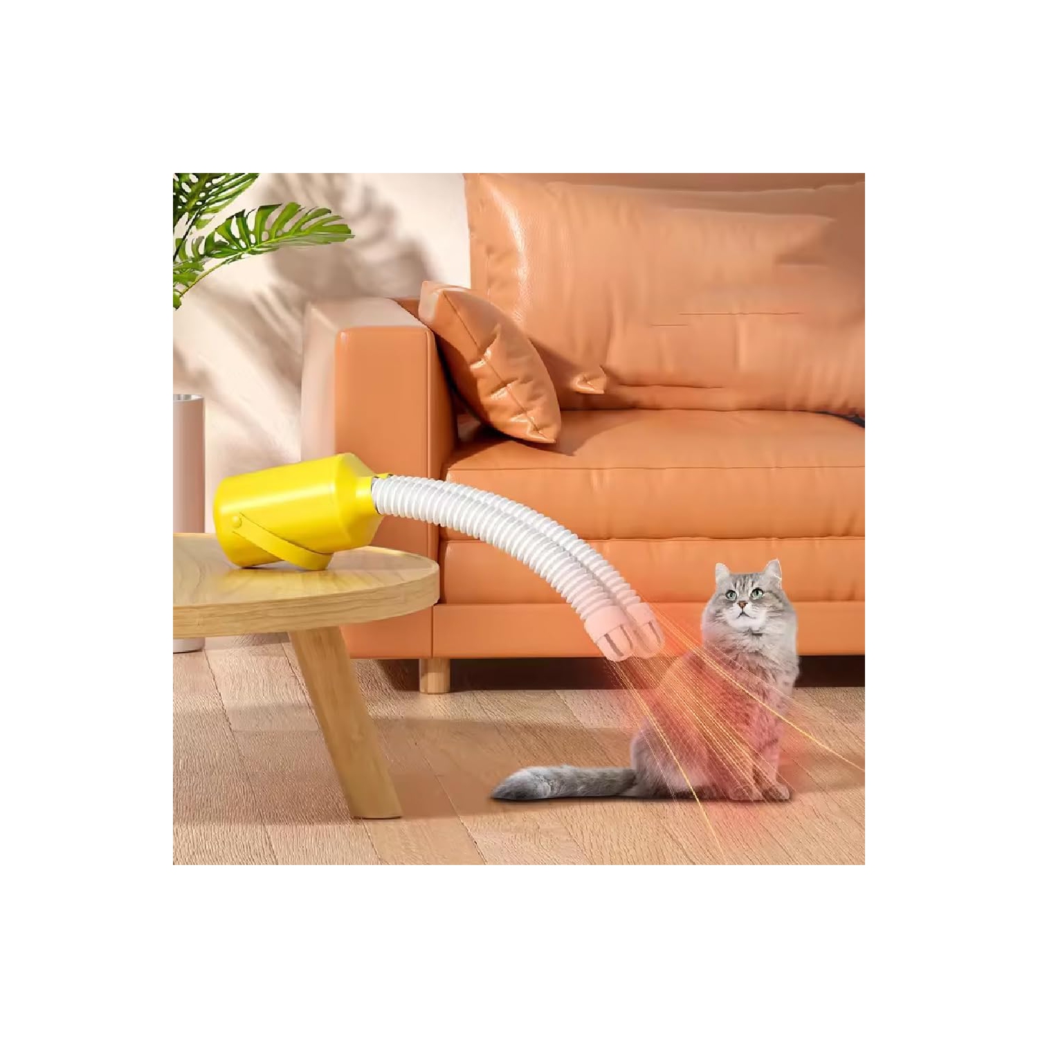 Sécheuse et chauffe-plats portatifs – Sécheuse compacte de voyage/maison avec tuyau télescopique pour les chaussures, la literie et les petits