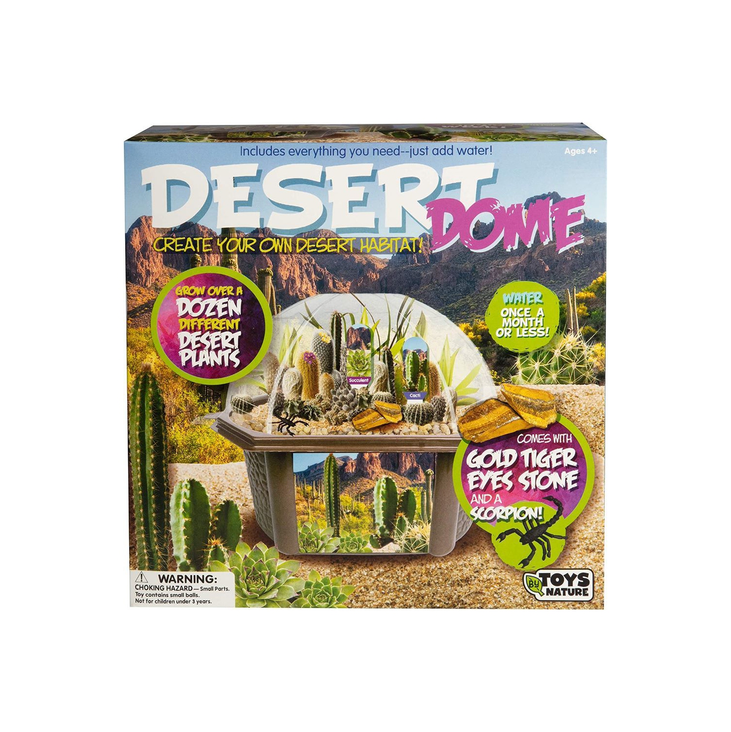Desert Dome - Biosphere Terrarium