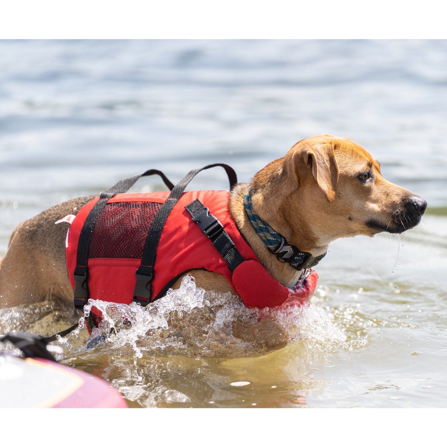 Salus Skippy PFD Dog Vest - Red