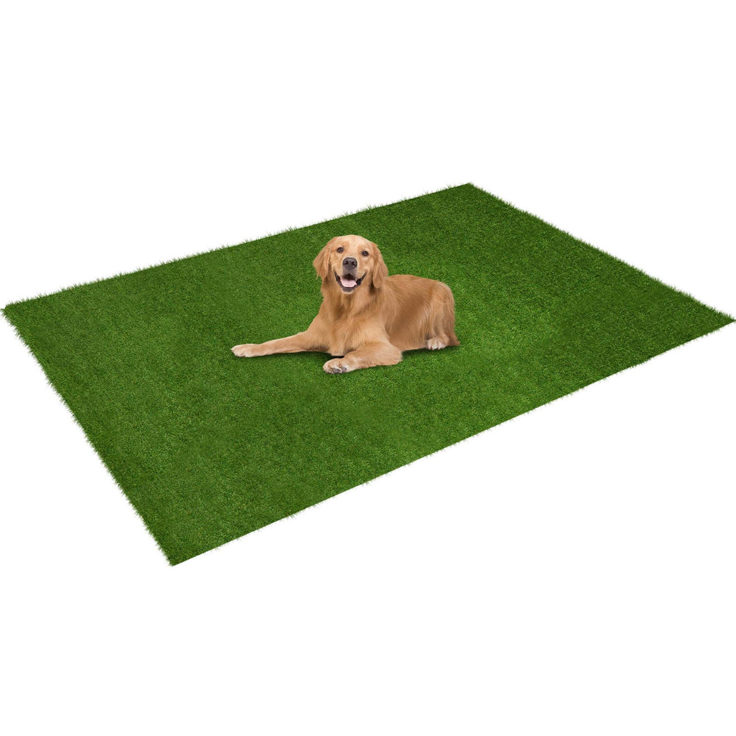 Costway 4 x 6/5 x 8/6 x 10 FT Artificial Grass Turf with Drainage Holes Nonslip Bottom 60 OZ Heavy