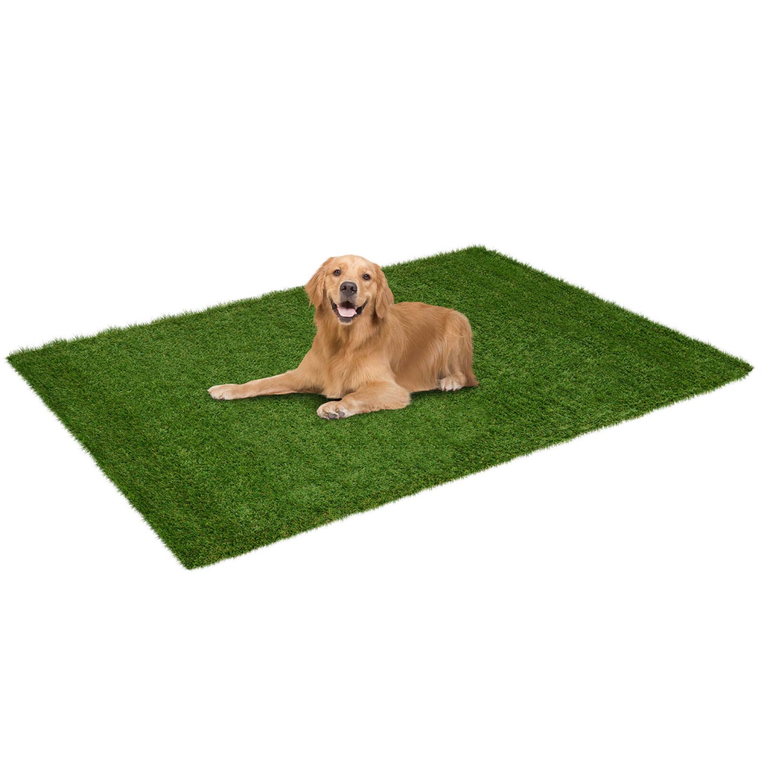 Costway 4 x 6/5 x 8/6 x 10 FT Artificial Grass Turf with Drainage Holes Nonslip Bottom 60 OZ Heavy
