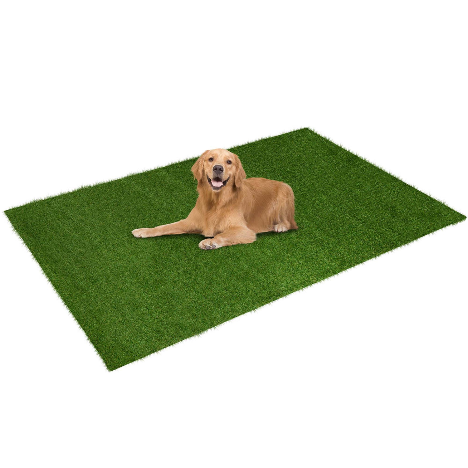 Costway 4 x 6/5 x 8/6 x 10 FT Artificial Grass Turf with Drainage Holes Nonslip Bottom 60 OZ Heavy