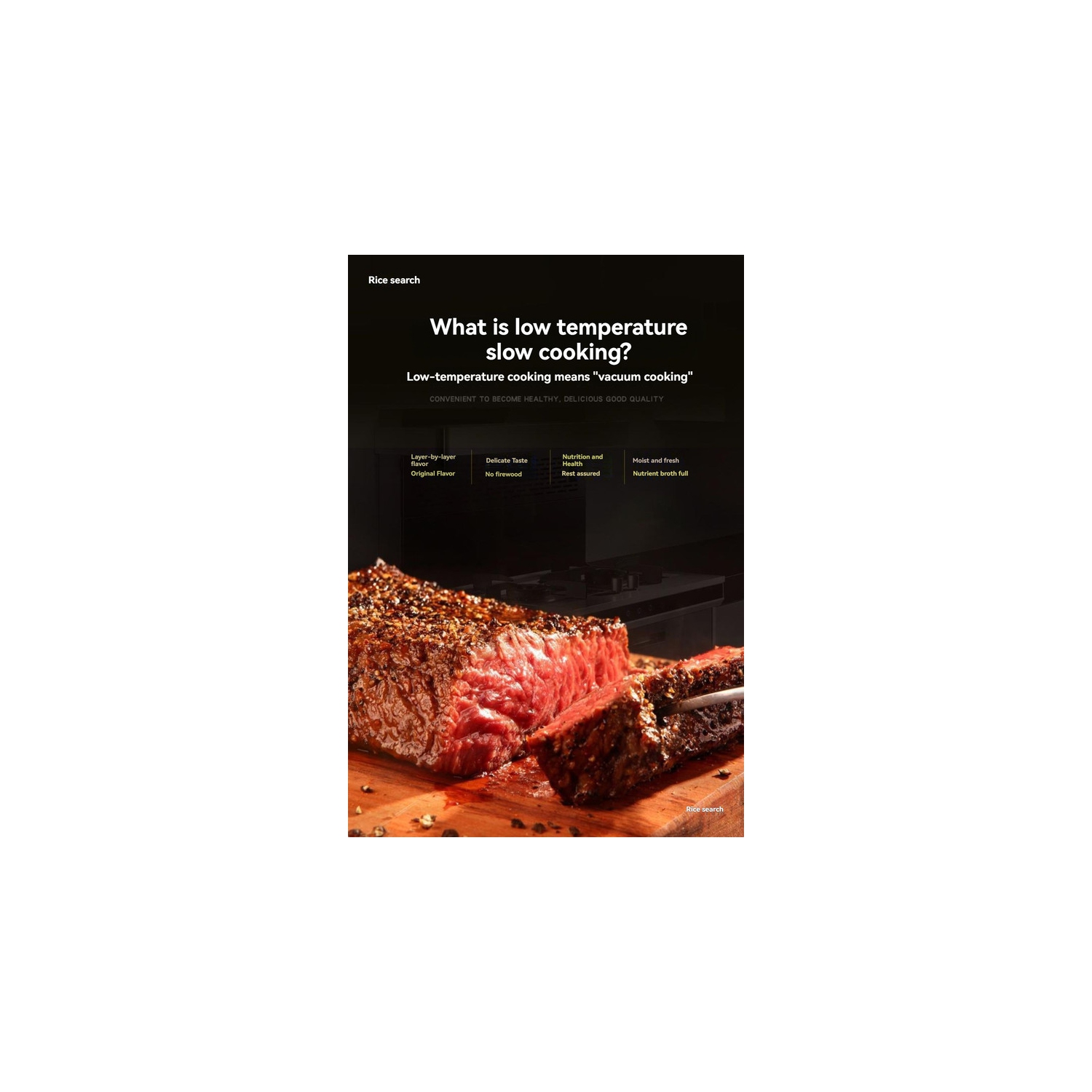 Precision Sous Vide Cooker with Lab-Grade Probe, ±0.1°C Control - Home and Commercial Slow Cooker for Steak, Eggs, Salmon