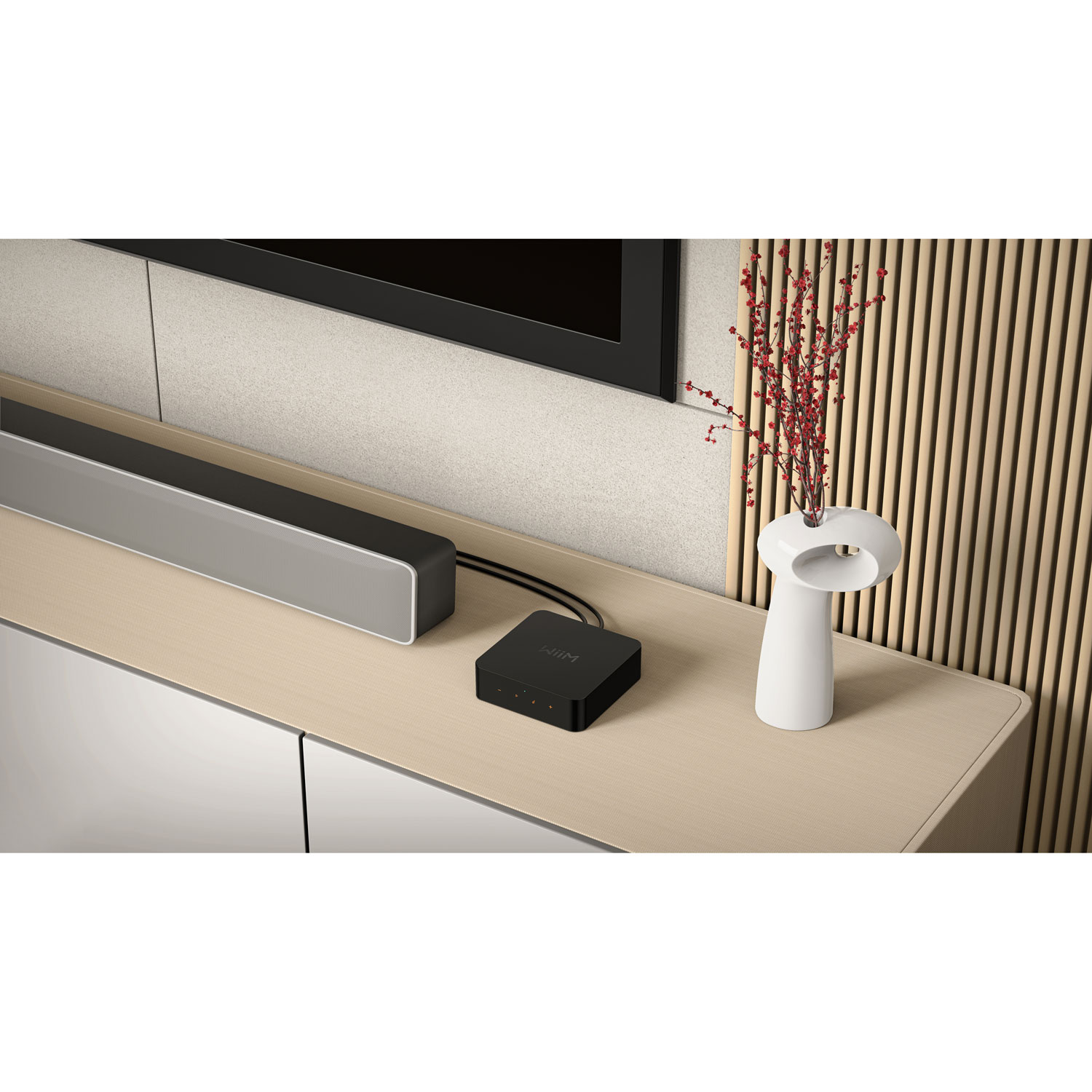 WiiM Pro Audio Streamer