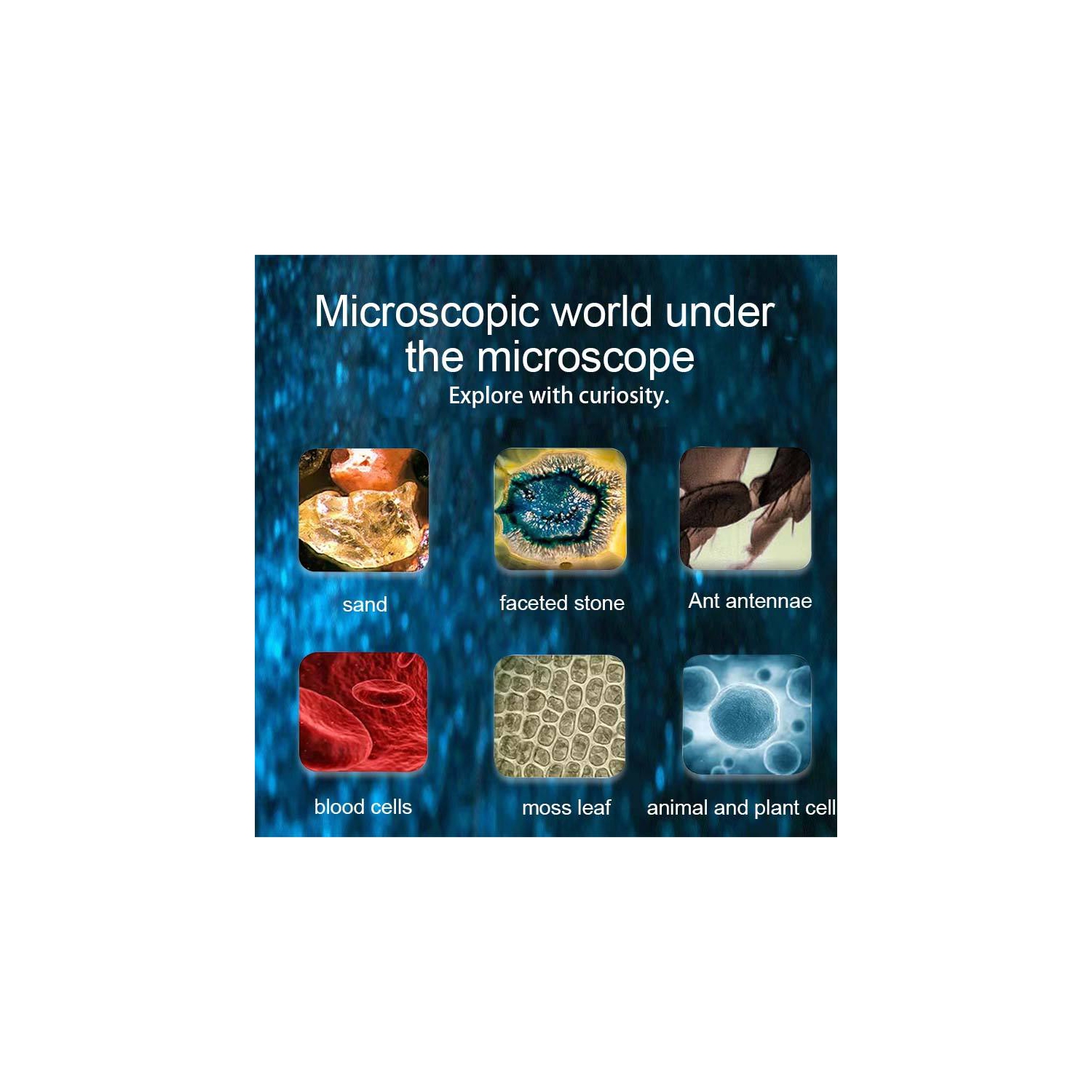 Microscope numérique portatif 1000X pour enfants - écran de 2,0 po, lunette de projection portative rechargeable - cadeau de gadgets