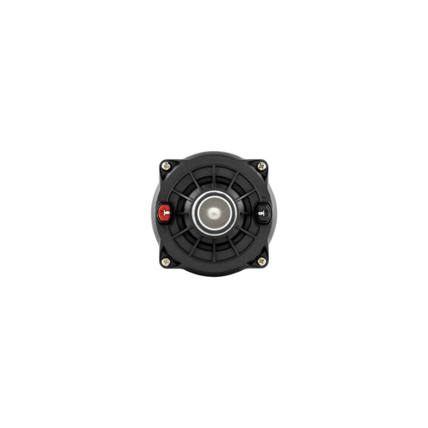 Haut-parleur à visser DS18 PRO-DR250TI 1&nbsp;po 200&nbsp;W RMS - 8&nbsp;Ohm