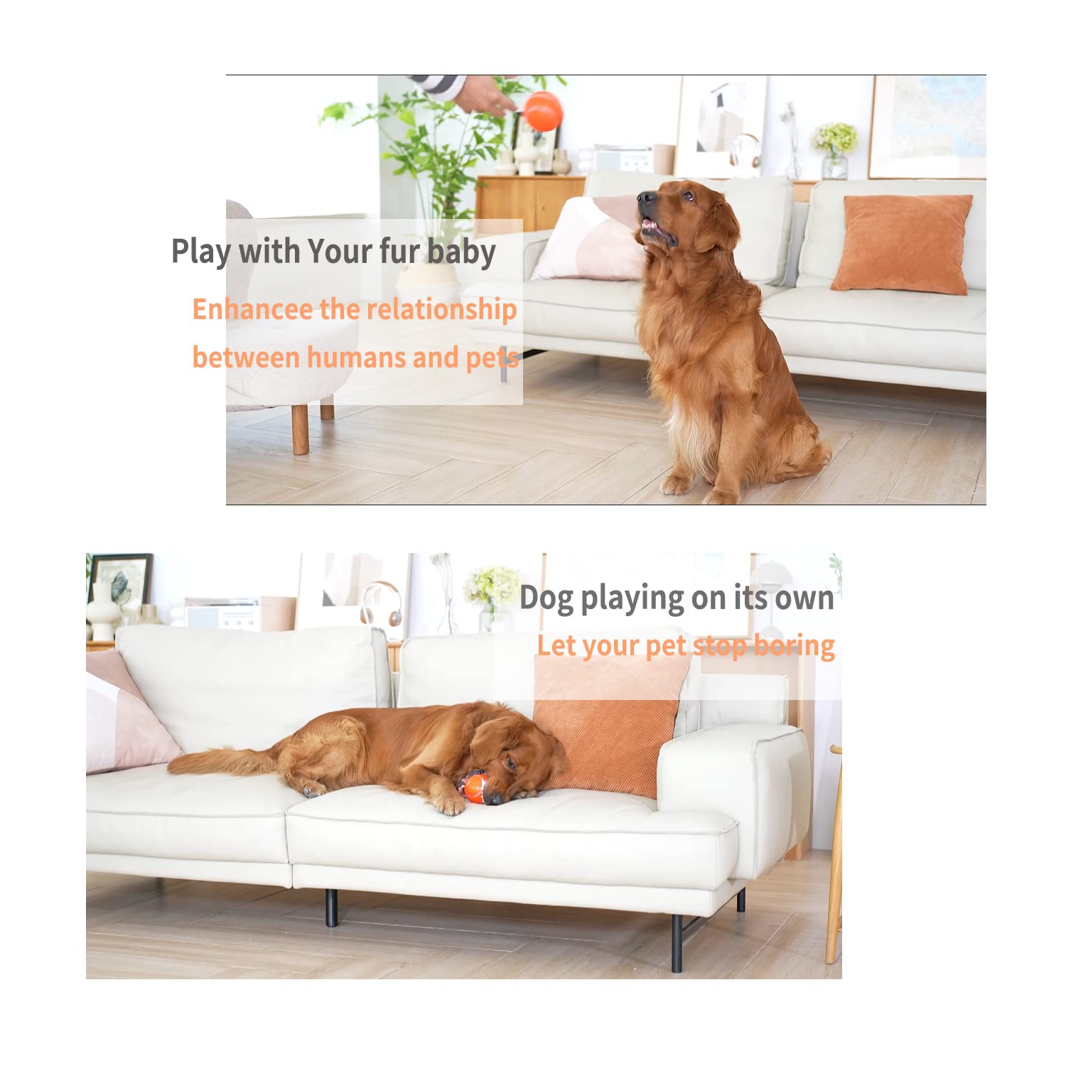 Interactive Dog Toy Ball with Remote Control,Active Rolling Ball for Dogs, Ball for Small Medium Large Dogs