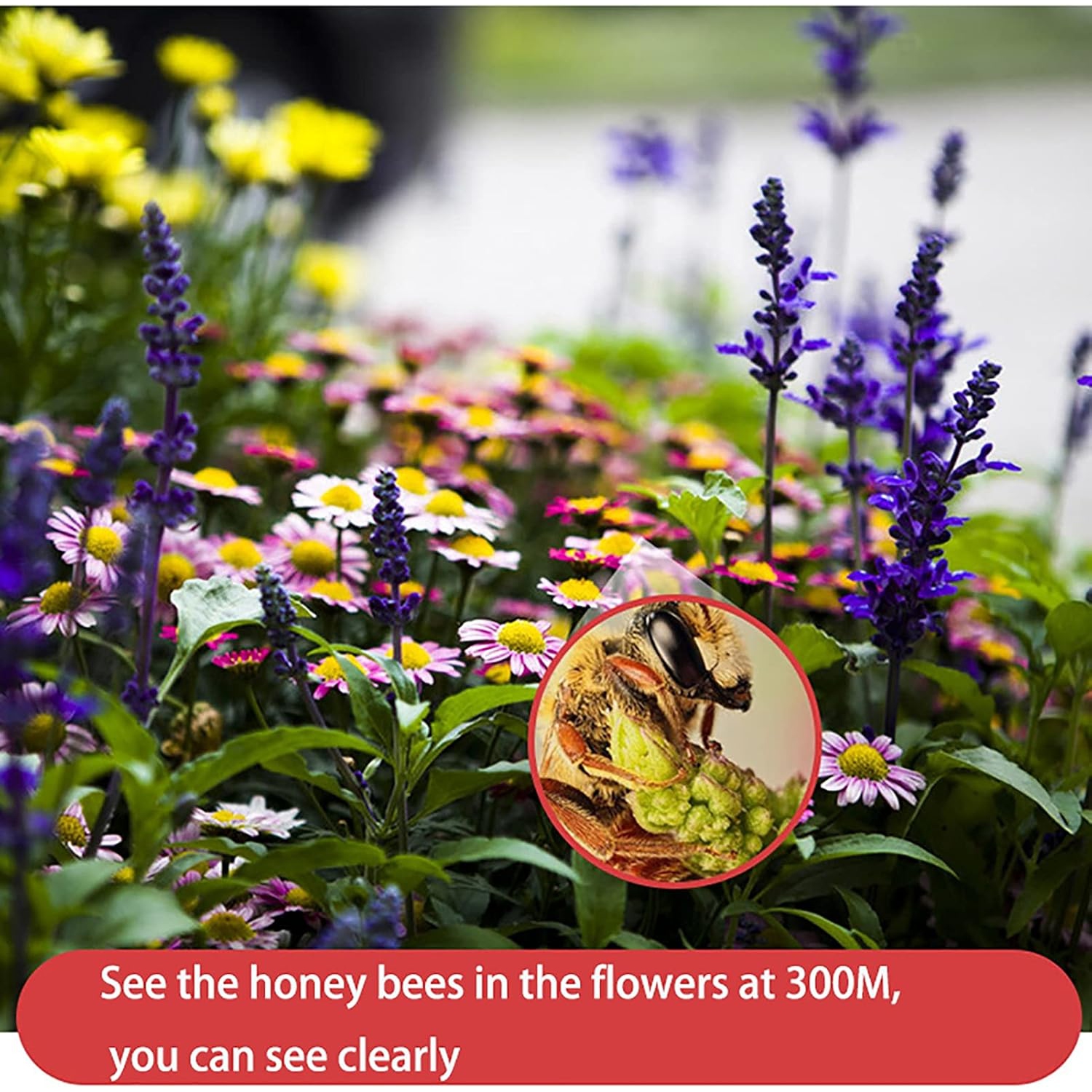 40X60 Monocular Telescope HD Zoom Monocular Binoculars with Smartphone Holder and Tripod FMC BAK4 Weak Night Vision Pocket Telescope