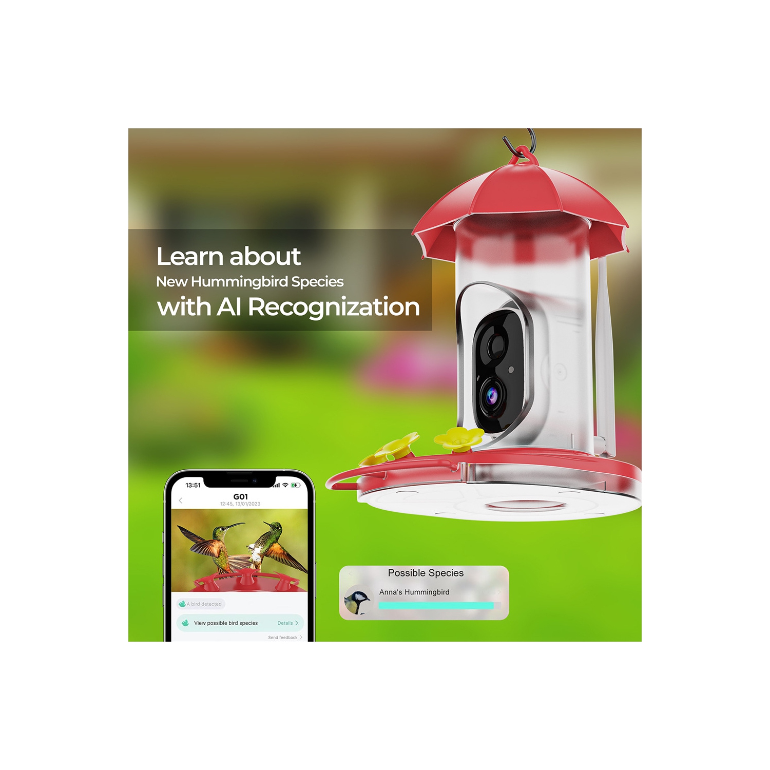 Water Feed For Birds,Smart Solar Powered Video Hummingbird Feeder, AI Bird Auto Capture Video, Ant Moat & Bee Proof, Gift for Bird Lovers