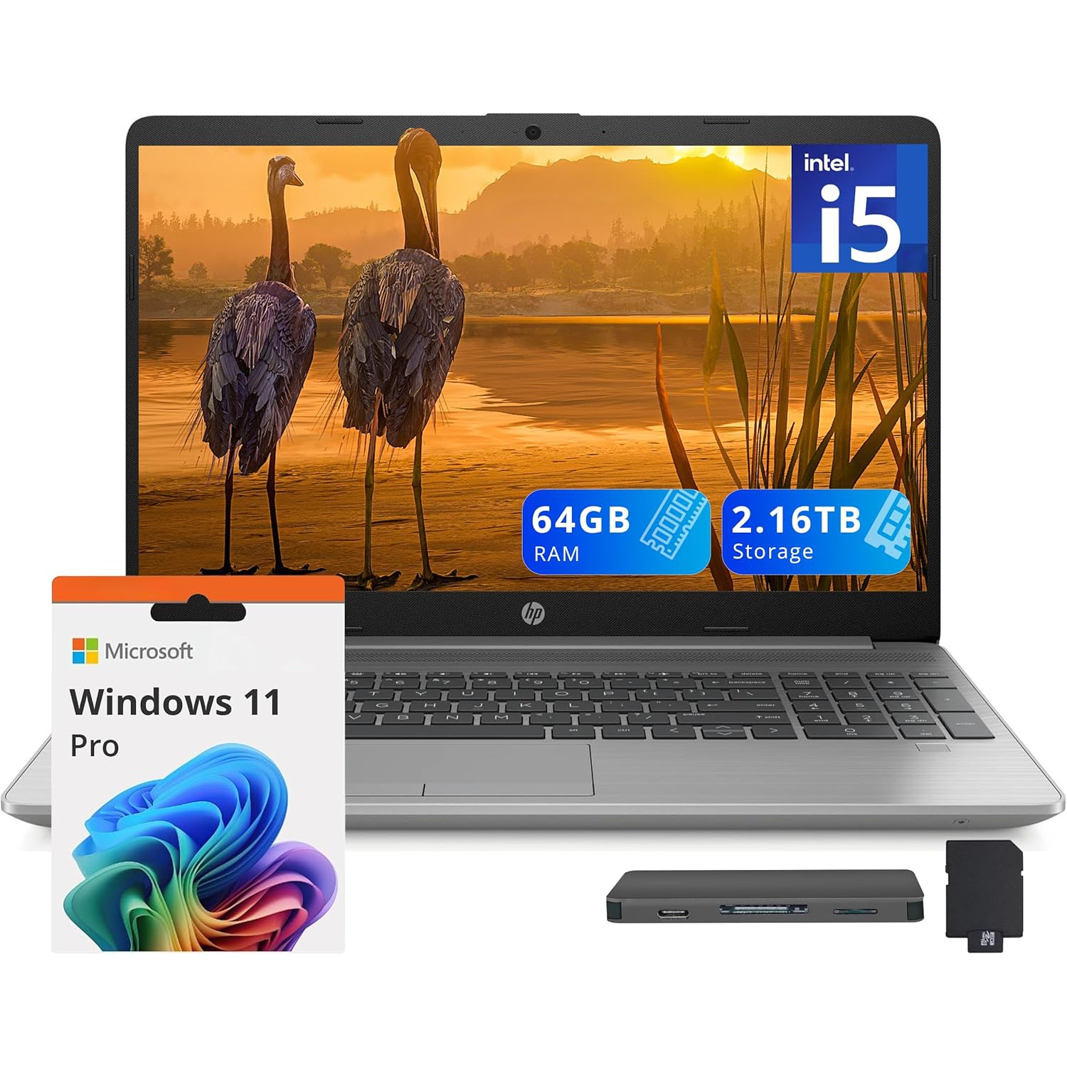 HP 250 G9 15.6" FHD Laptop, Intel i5-1335U,2.16TB Storage(2TB SSD+160GB Docking Station Set),64GB DDR4 RAM,Intel Iris Xe Graphics, Number Pad, Win 11 Pro, Dark Ash Silver
