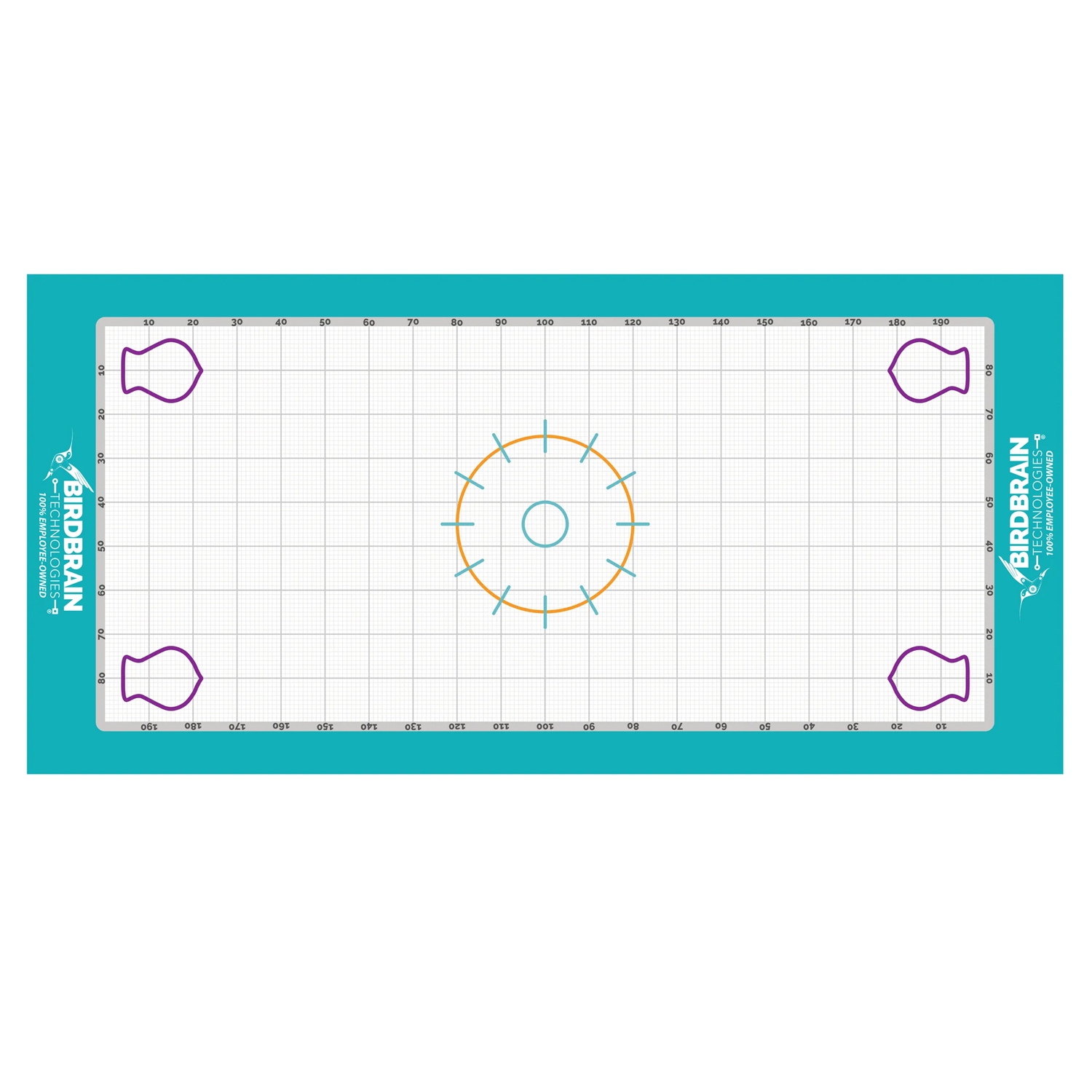 BirdBrain Finch Math Mat - Coding & Math Activity Playmat - Durable Wipe Clean Grid for Home & Classroom Use - Finch Arena Compatible