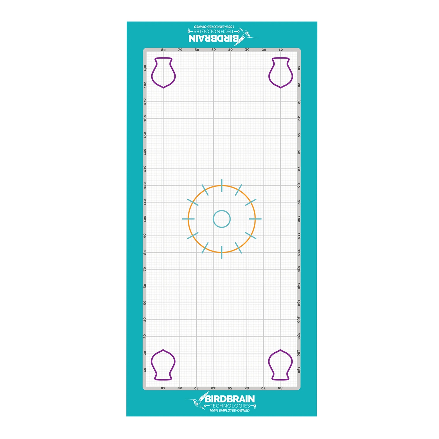 BirdBrain Finch Math Mat - Coding & Math Activity Playmat - Durable Wipe Clean Grid for Home & Classroom Use - Finch Arena Compatible