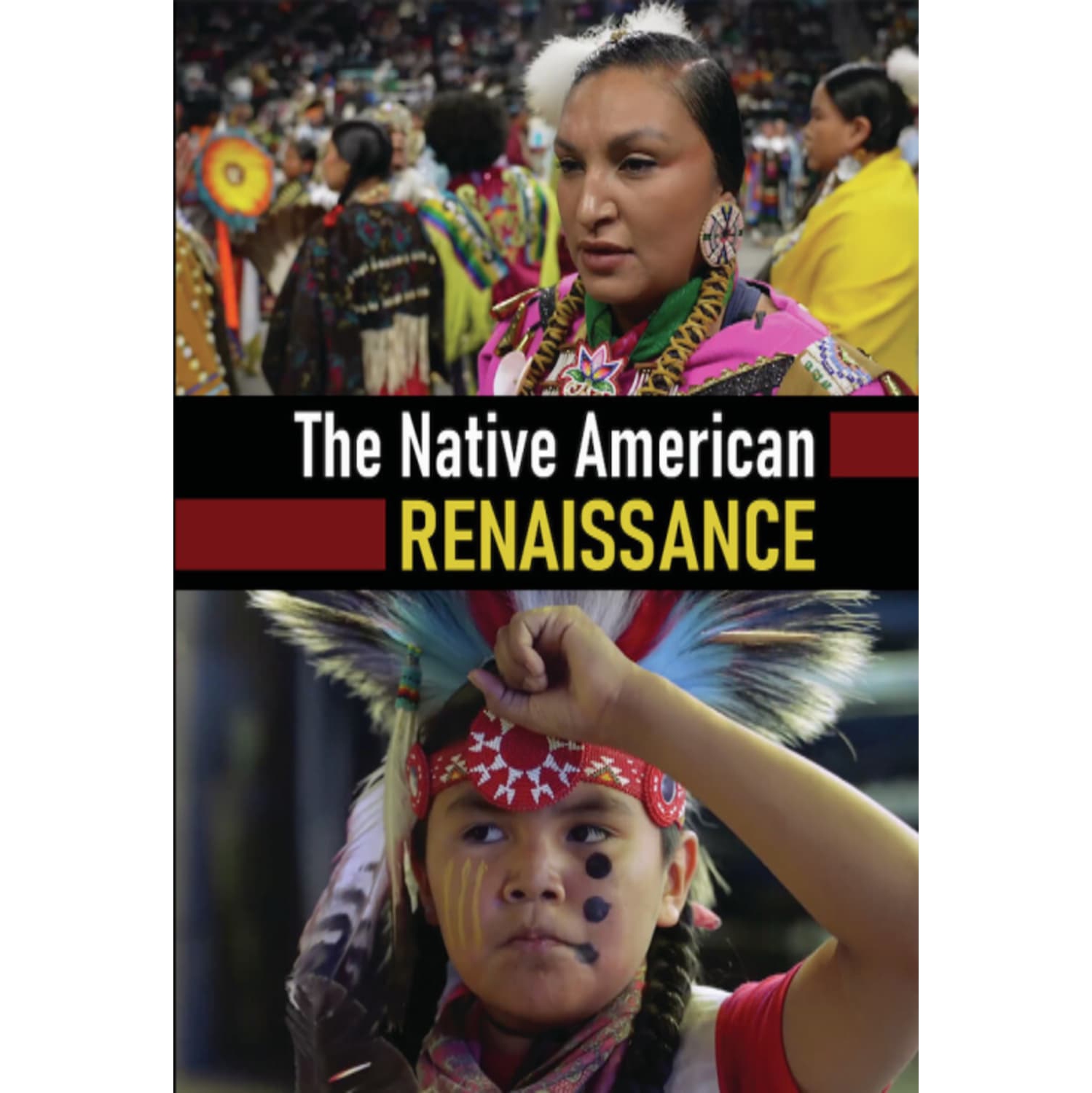 The Native American Renaissance - - [DVD]