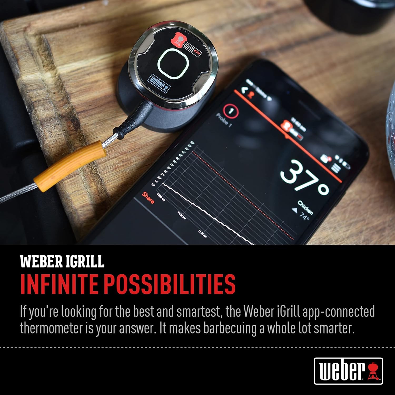 Weber iGrill Mini App Connected Grill Thermometer Probe