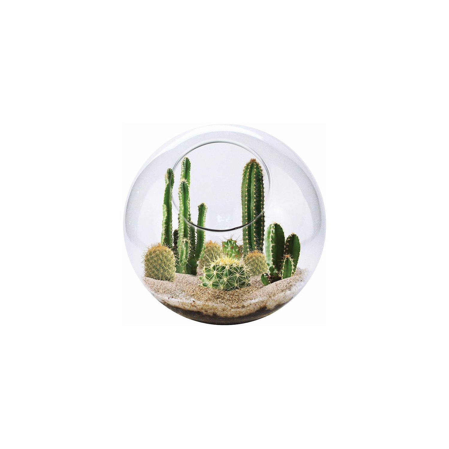 Collection Mini Desert