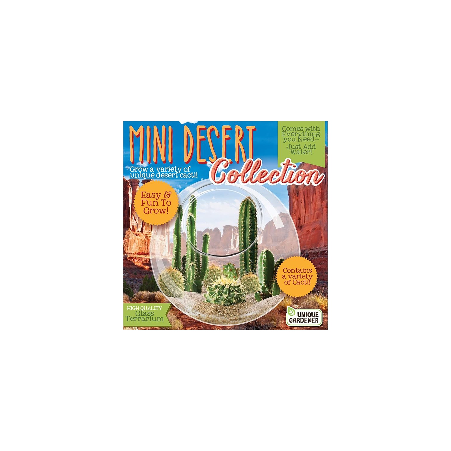 Collection Mini Desert