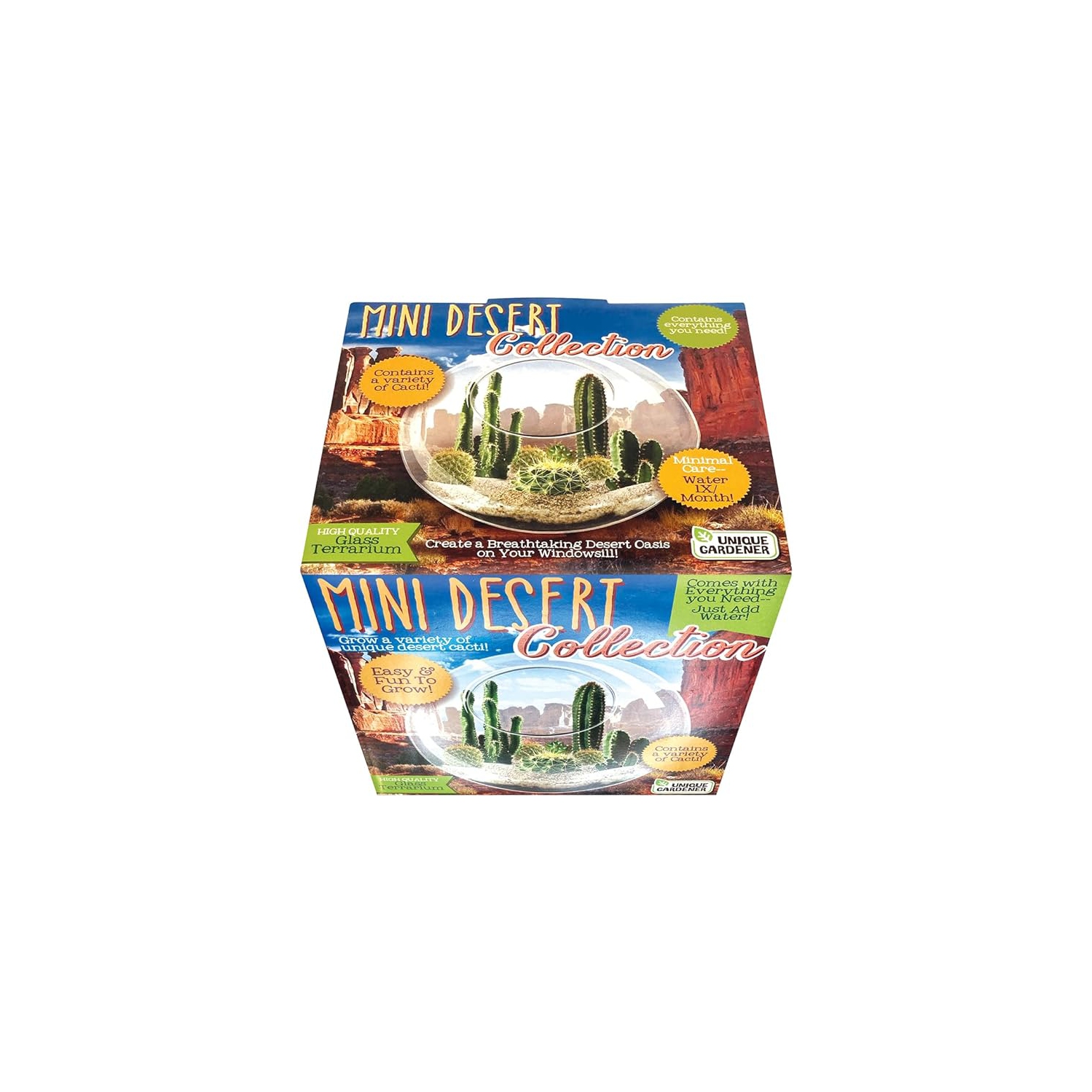 Collection Mini Desert