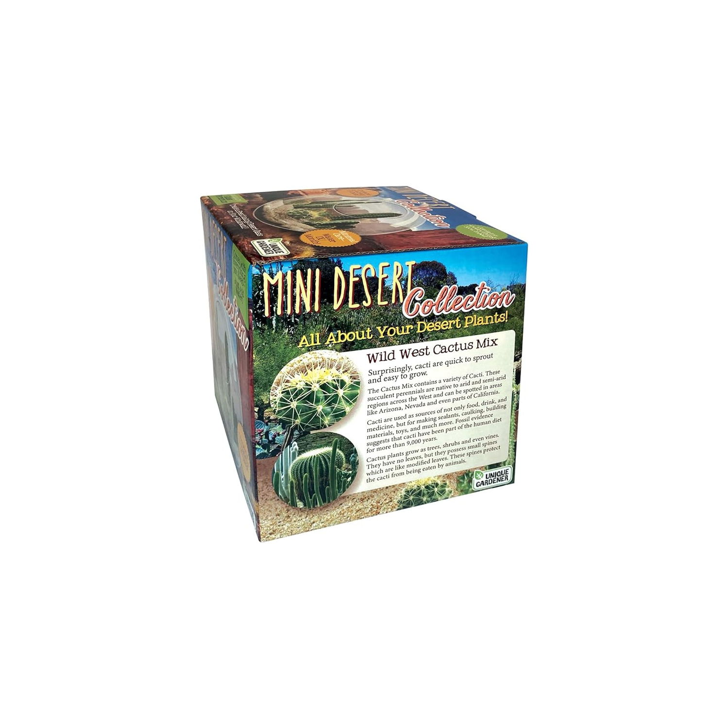 Collection Mini Desert