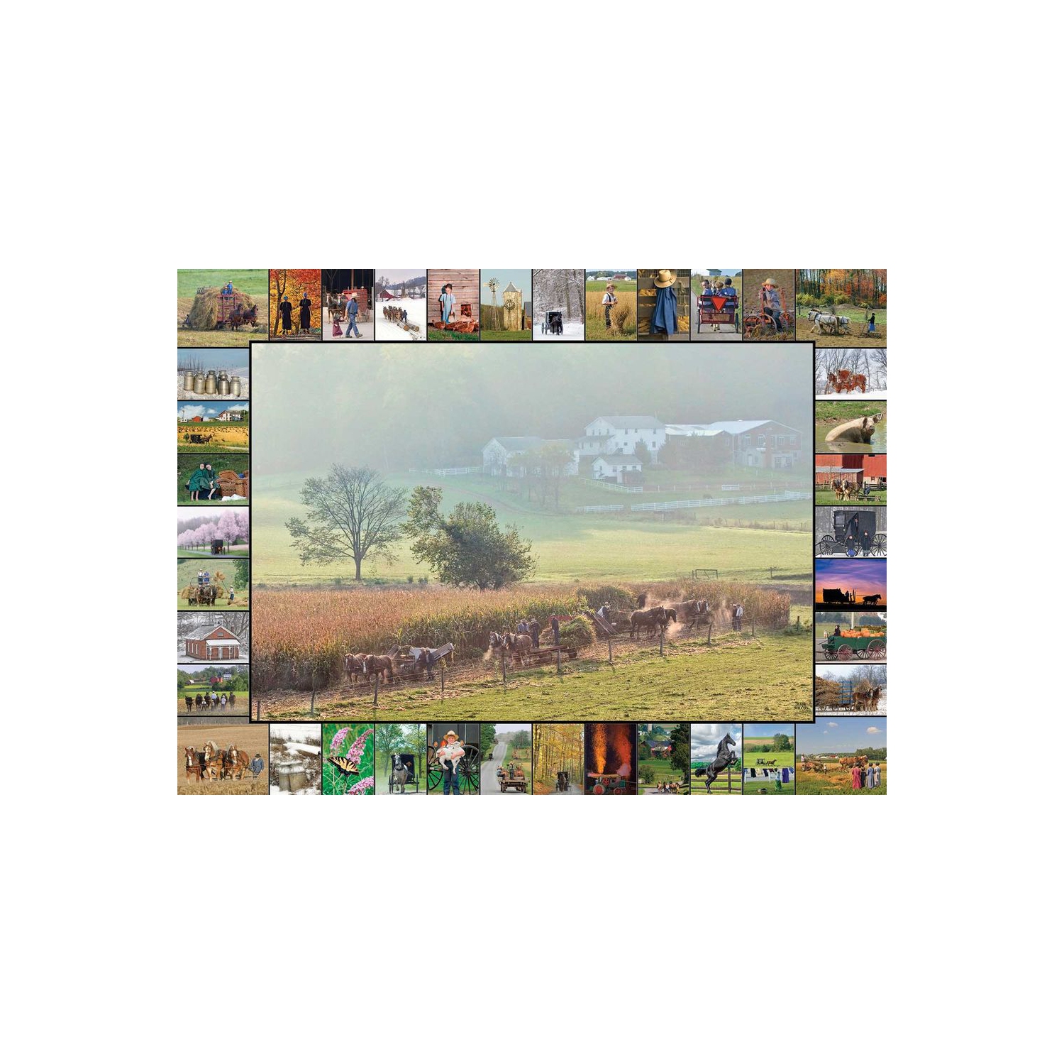 Puzzle Teamwork 1000 Pc.