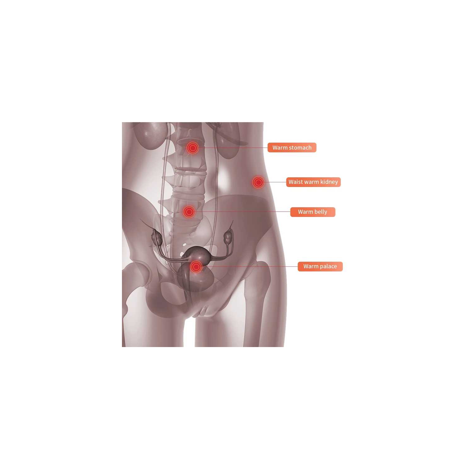 Heated Abdominal Massager for Period Relief