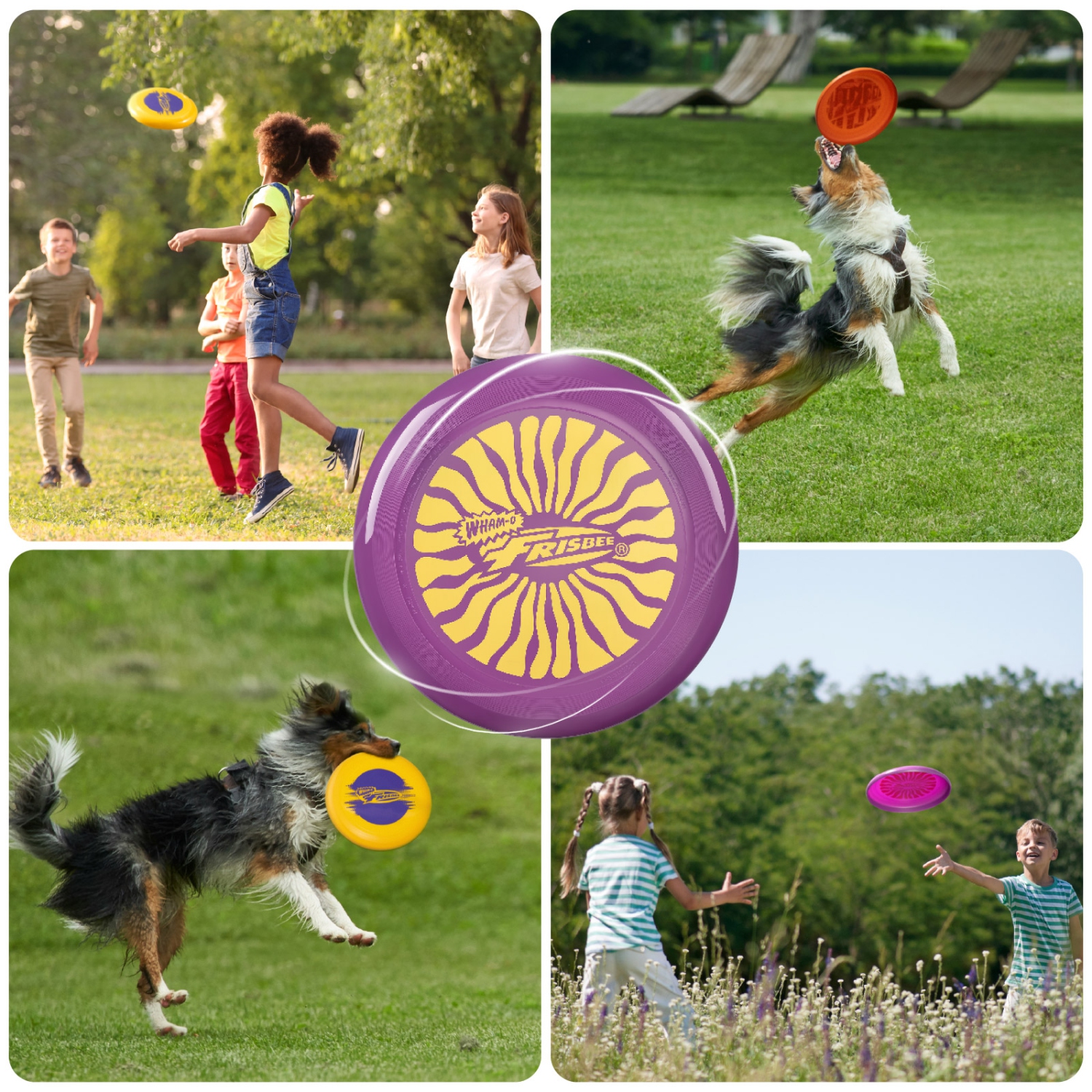 WHAM-O – Ensemble de 3 disques volants Frisbee Cool Flyer, jeu léger de 9,95&nbsp;po pour l'extérieur – 130&nbsp;g