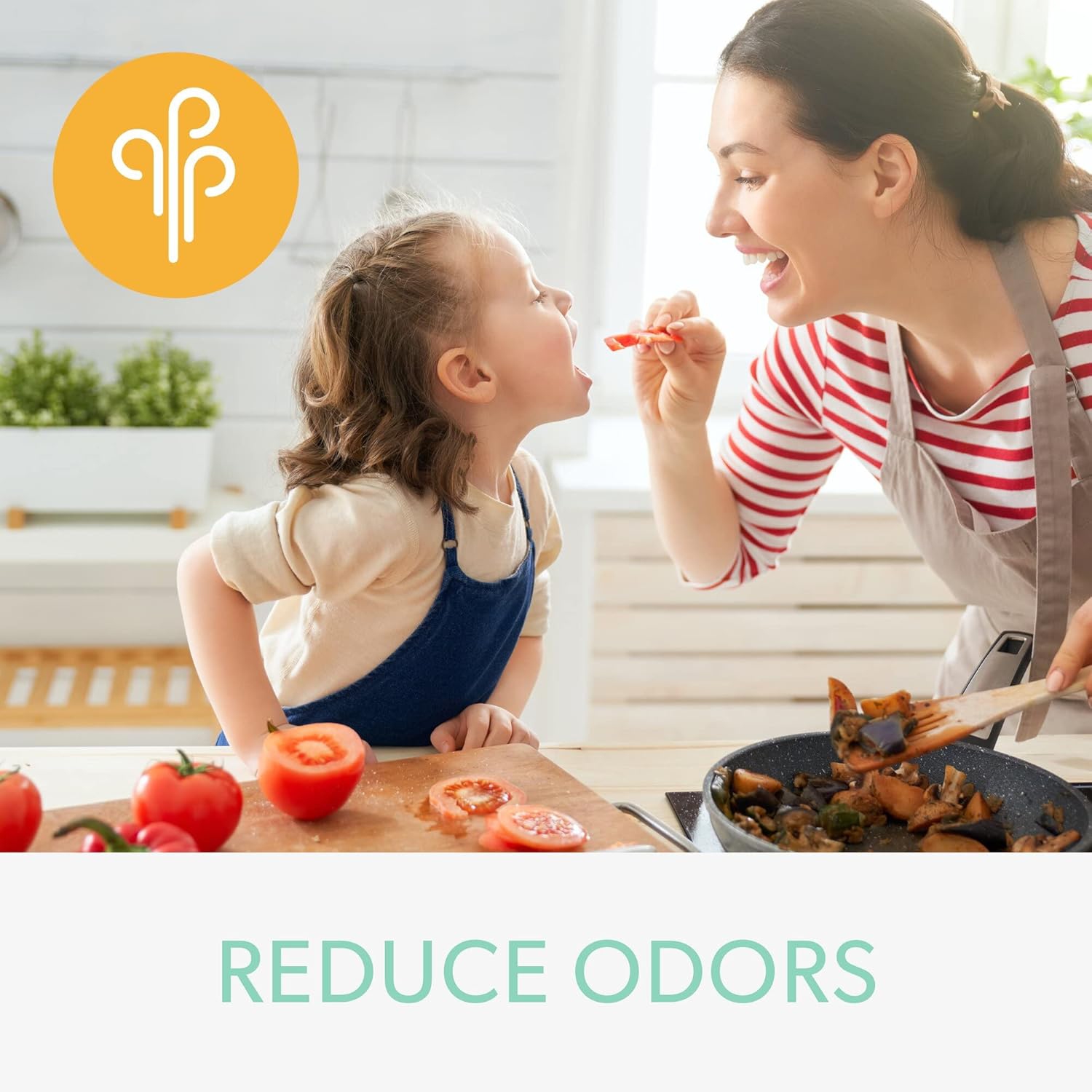 Filtre à odeurs et COV DuPont de TruSens avec True HEPA pour purificateur d'air Z-2000 TruSens