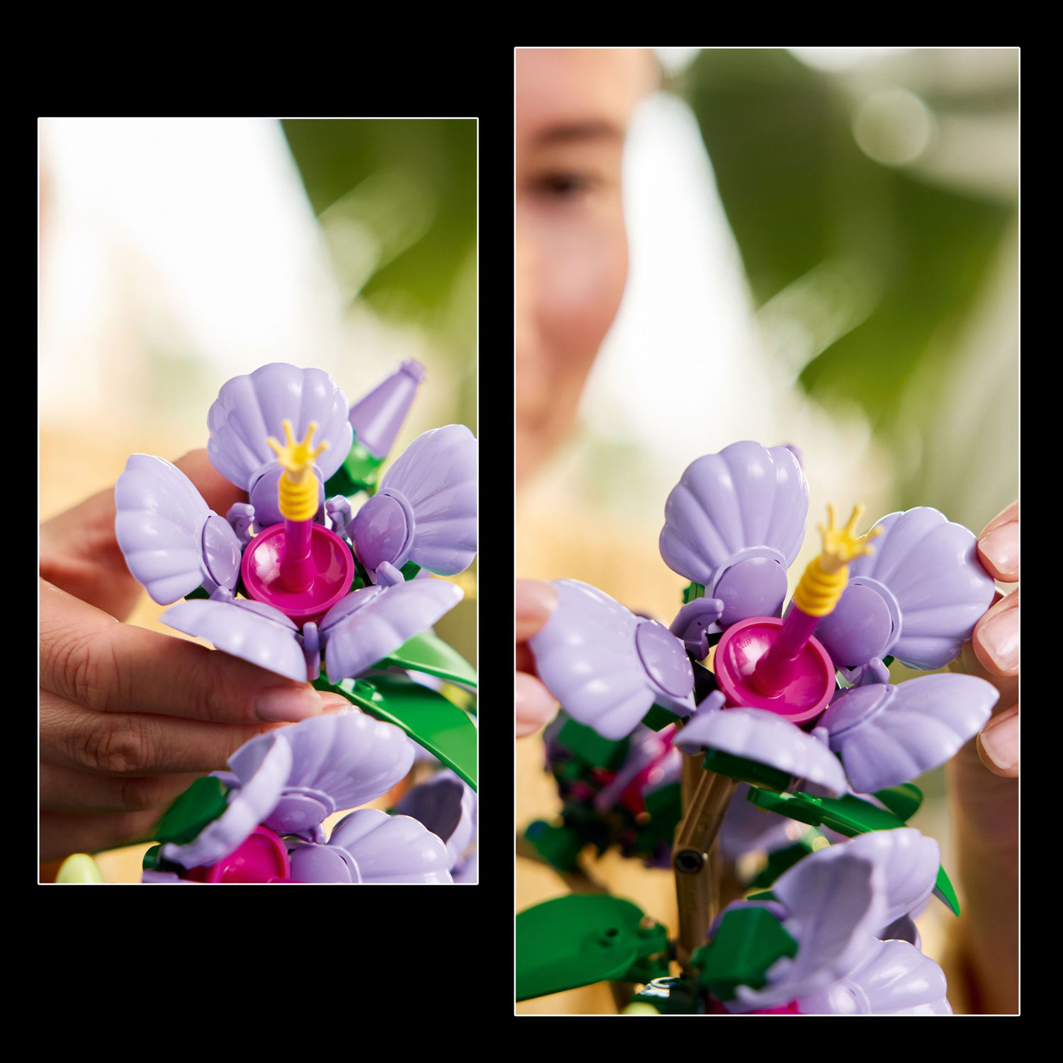 LEGO Botanicals : L'hibiscus - 660 pièces